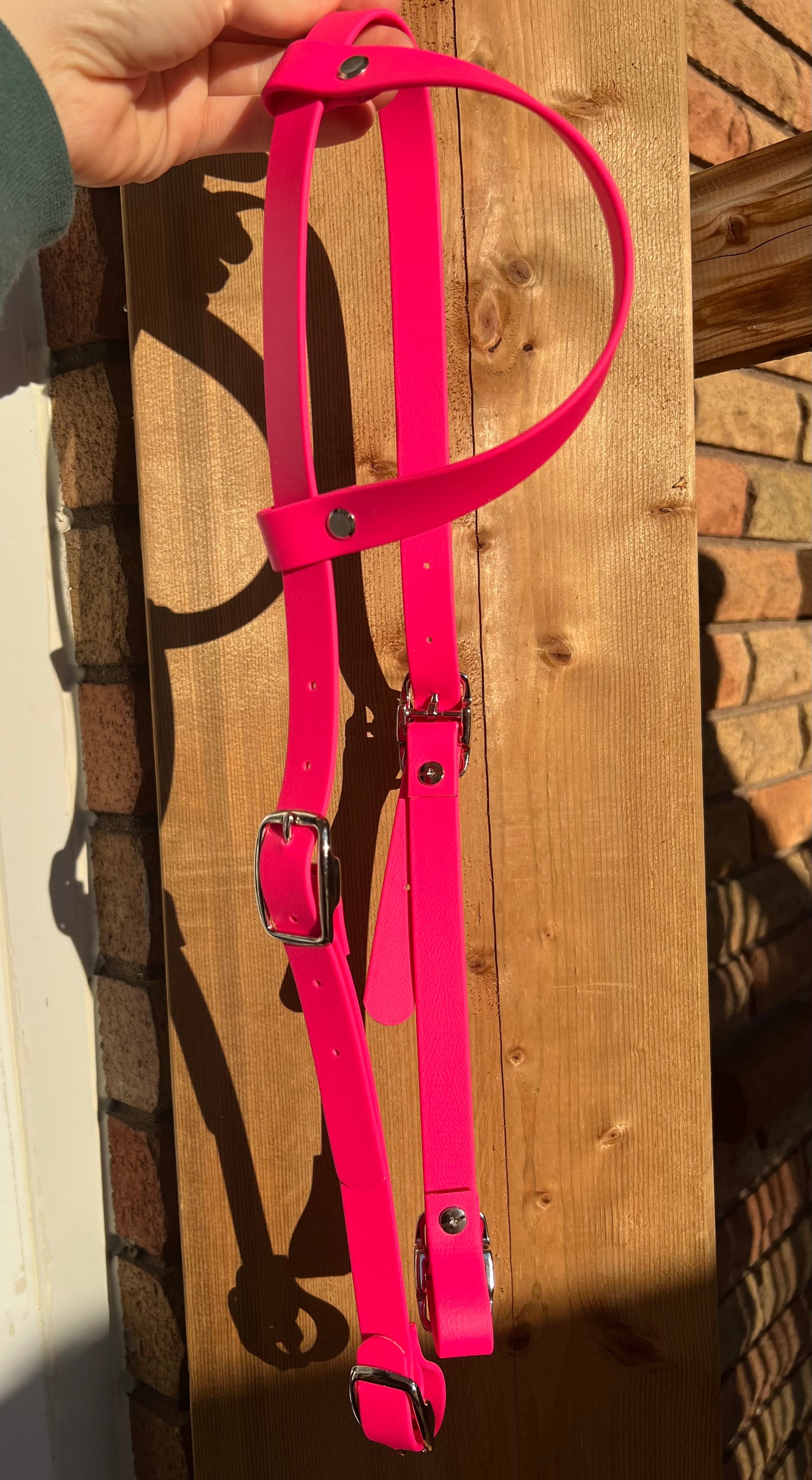 One-Ear BioThane Headstall – Cob to Full Size - IN STOCK