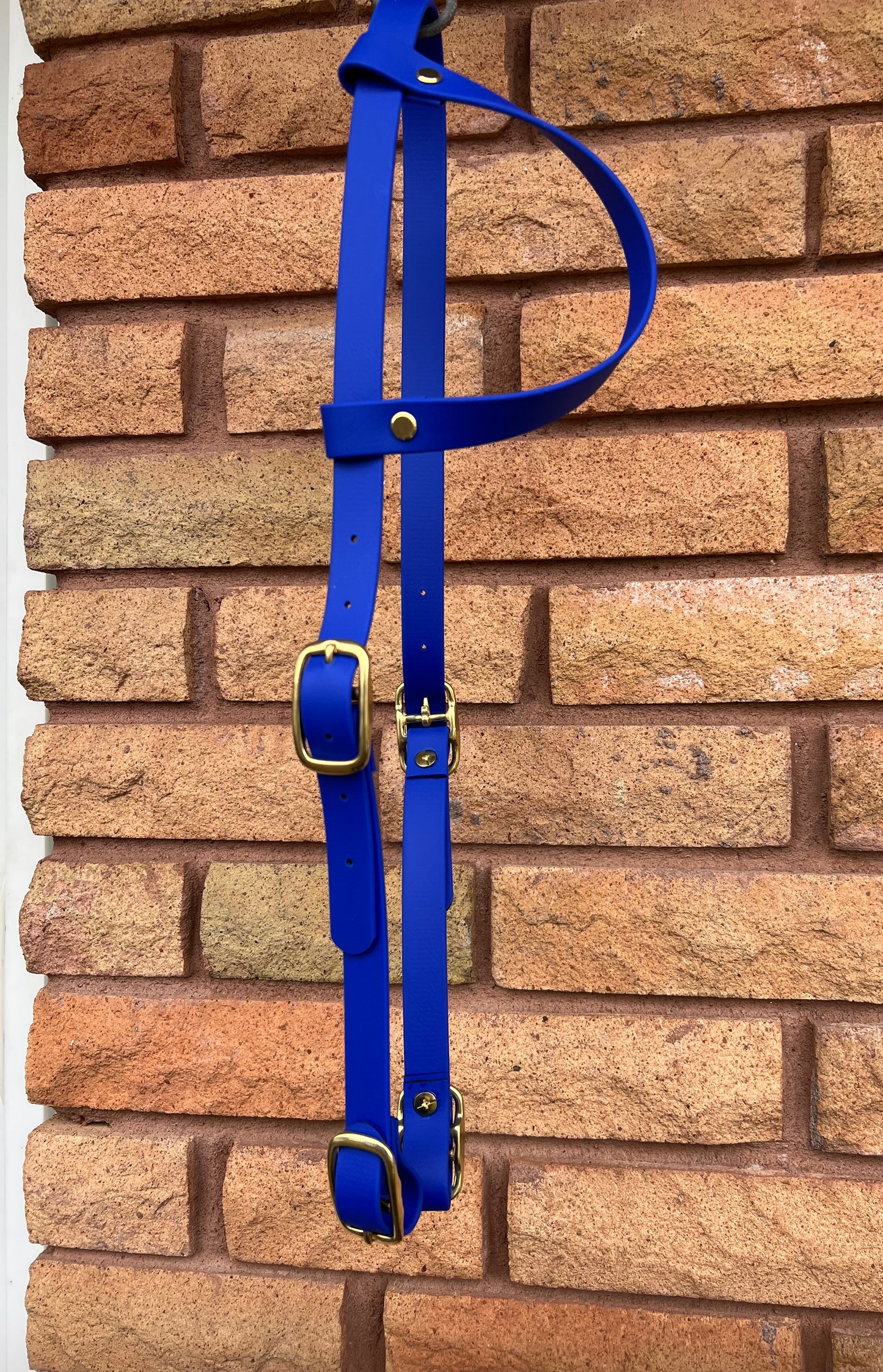 One-Ear BioThane Headstall – Cob to Full Size - IN STOCK