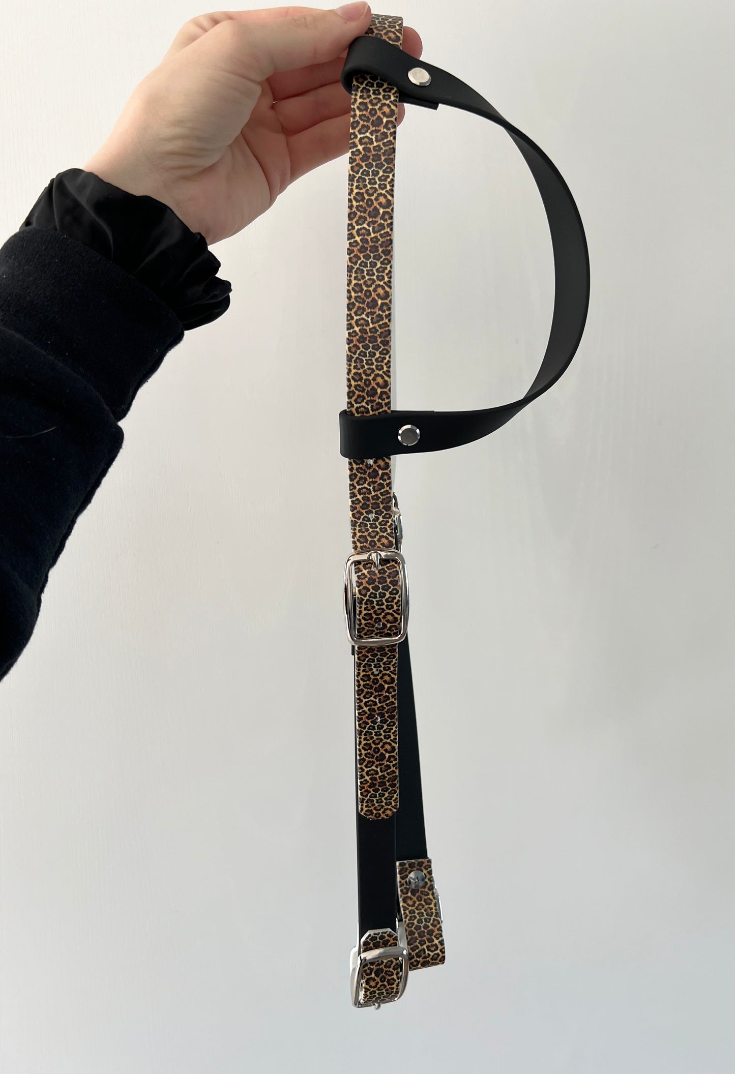One-Ear Printed Biothane Headstall – Cob to Full Size - IN STOCK