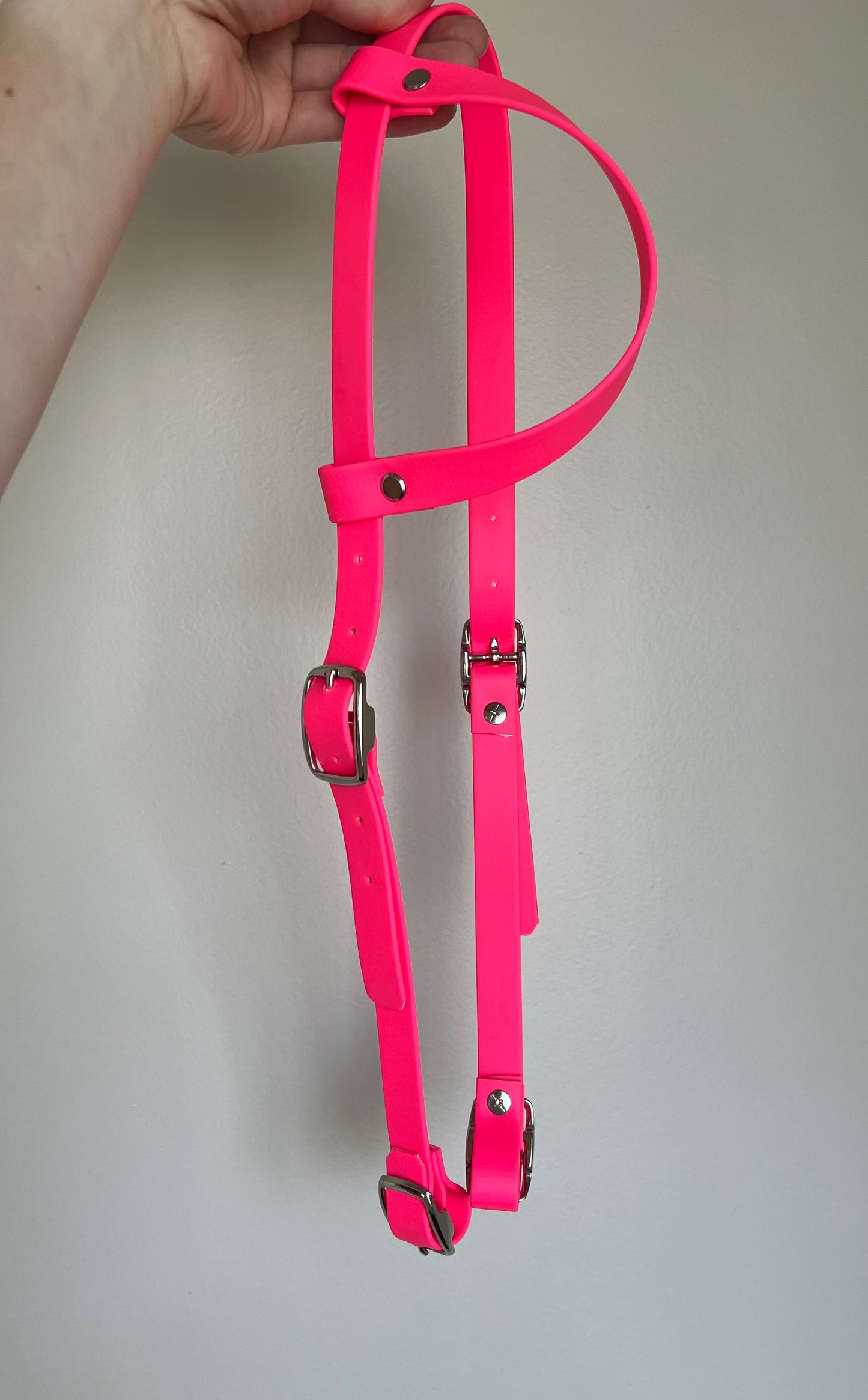 One-Ear Biothane Headstall – Cob to Full Size - IN STOCK