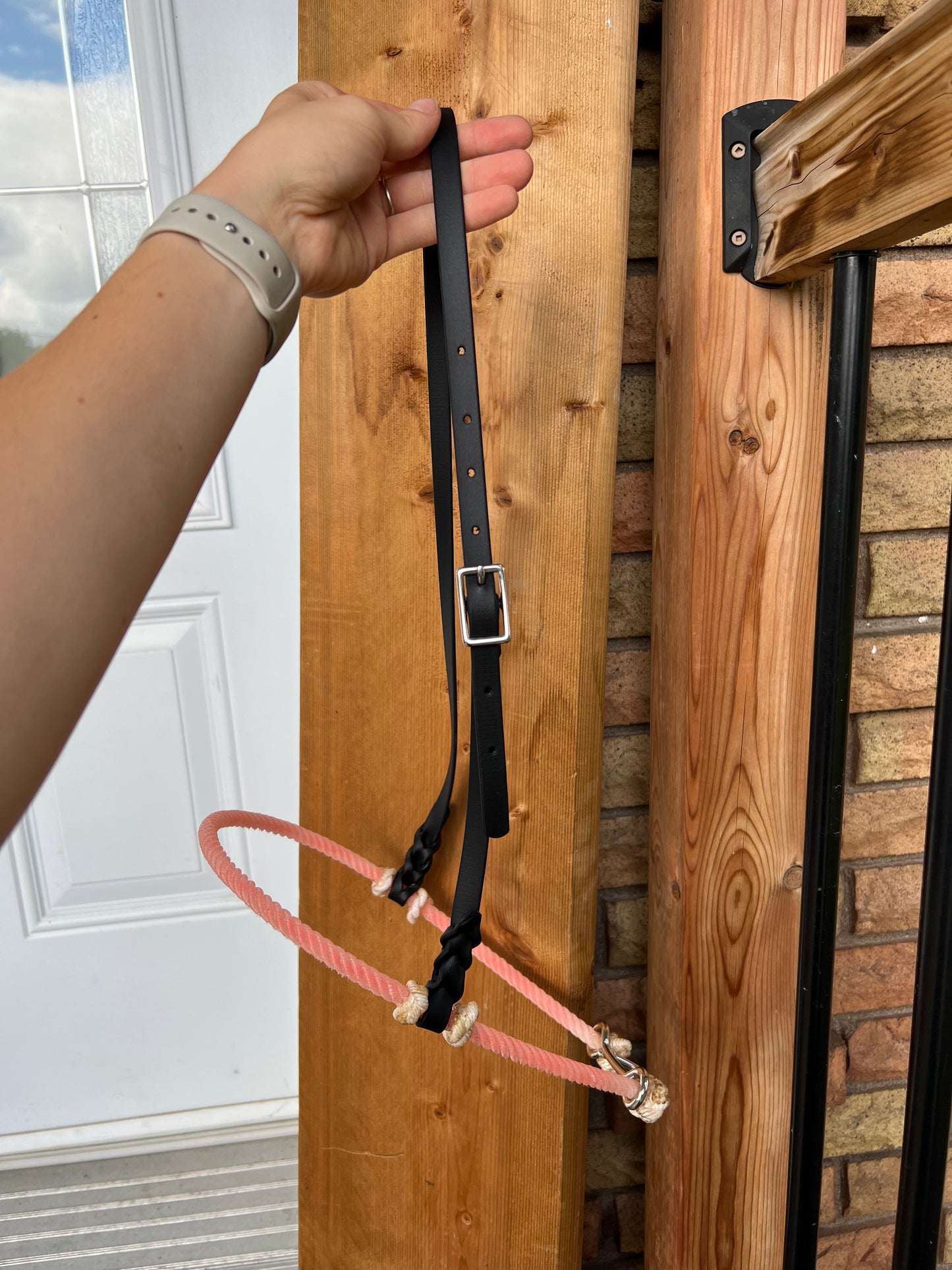 Muserolle pour martingale fixe (Tie-down noseband)