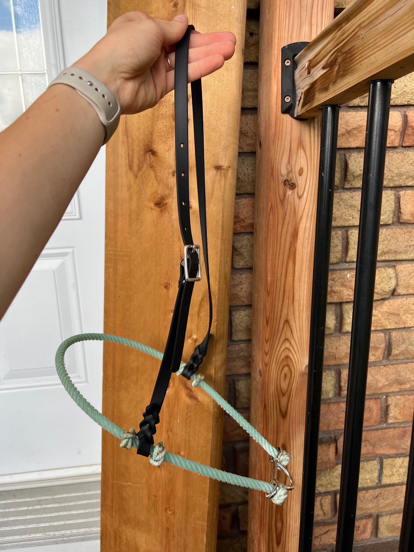 Muserolle pour martingale fixe (Tie-down noseband)
