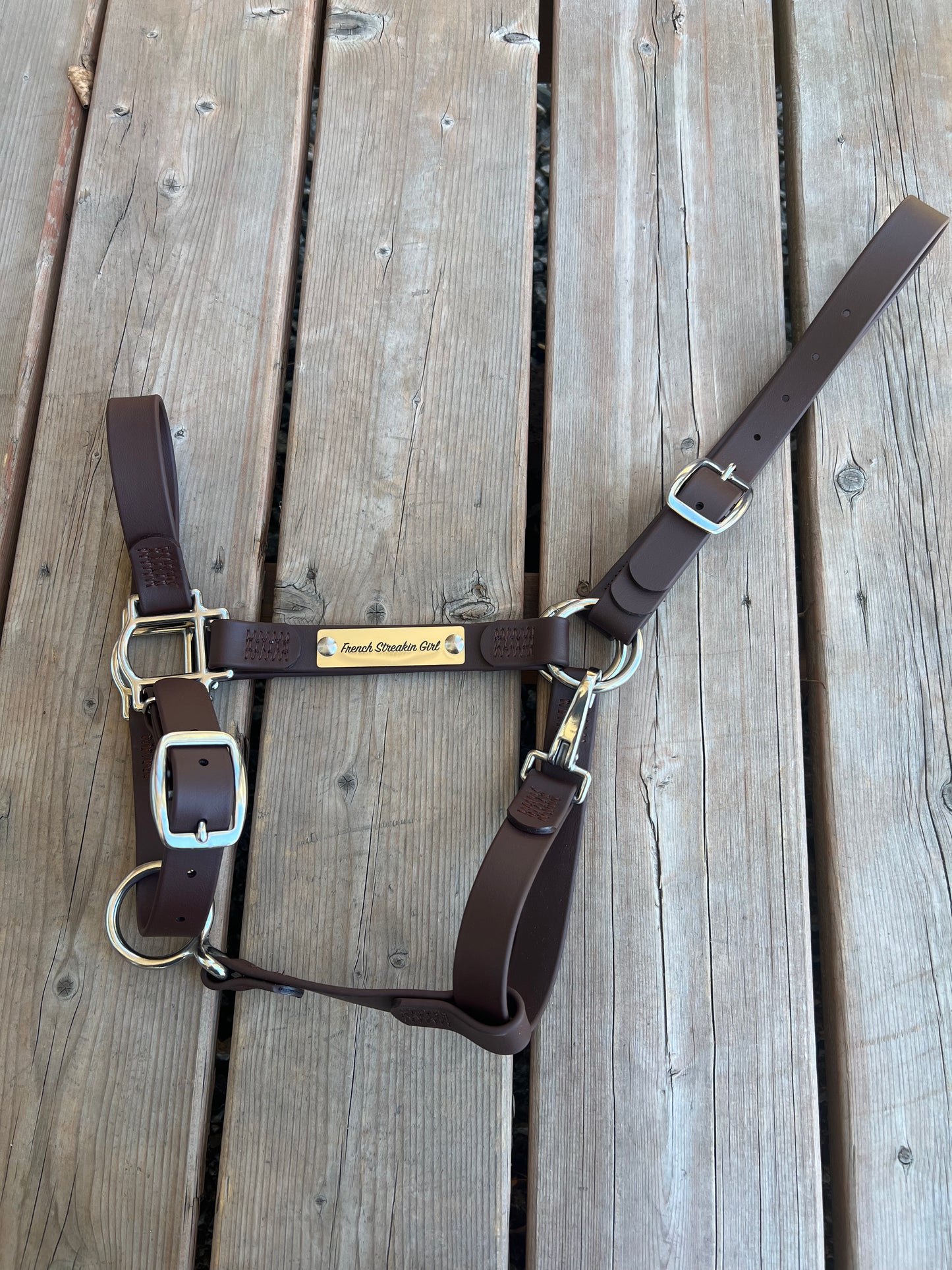 Custom Halter Set - BioThane Halter & Name Plate Bundle