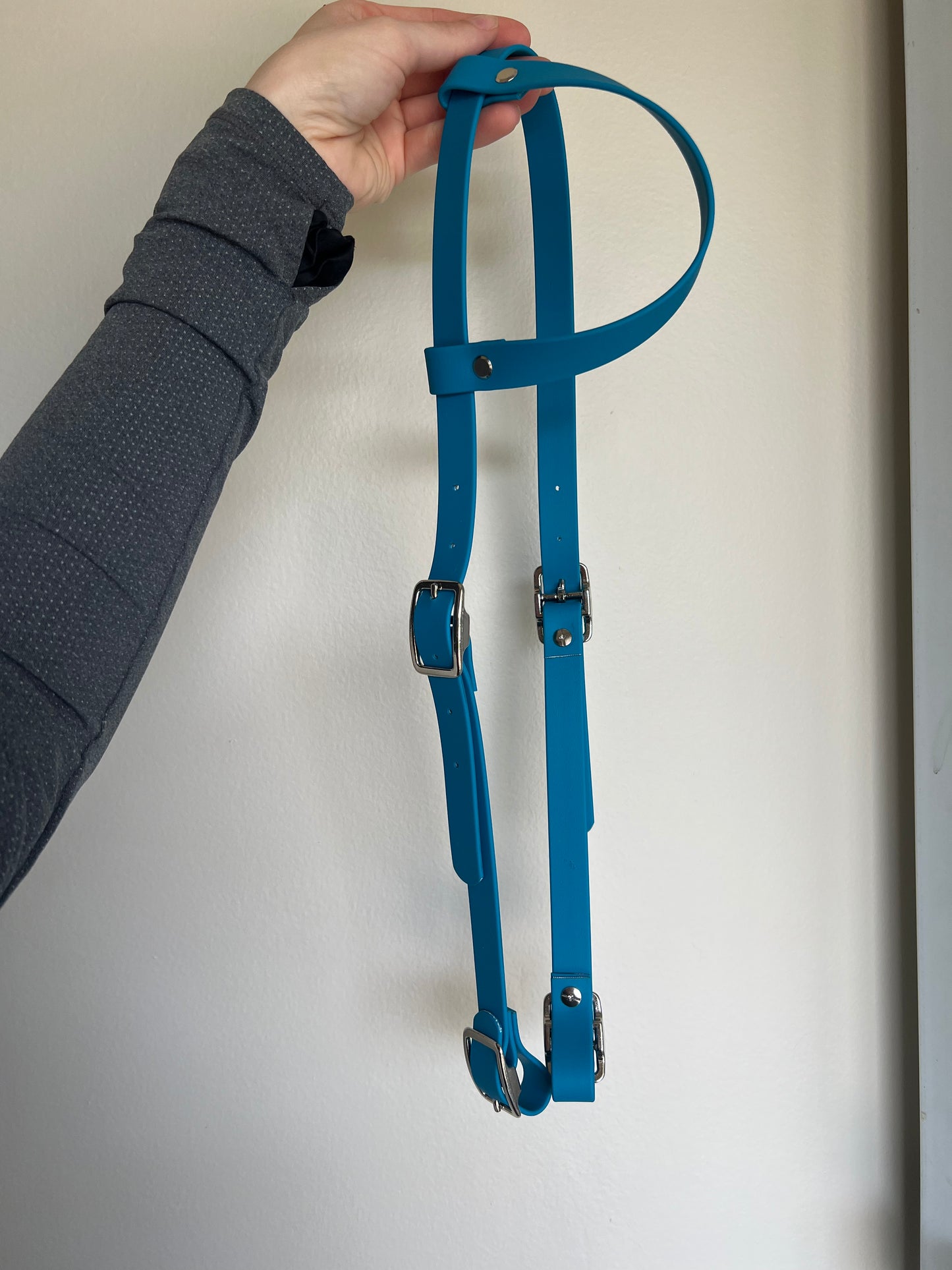 One-Ear Biothane Headstall – Cob to Full Size - IN STOCK