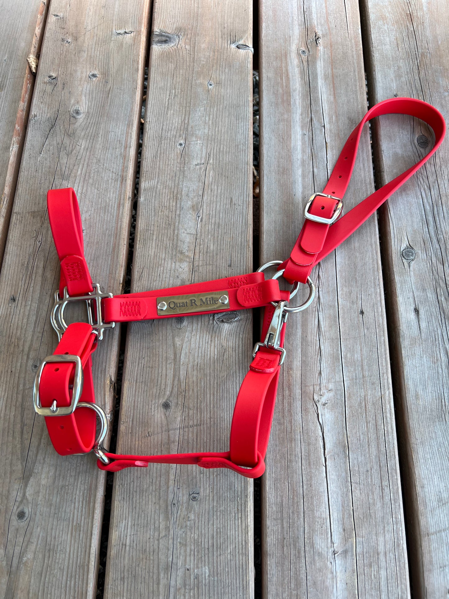 Custom Halter Set - BioThane Halter & Name Plate Bundle