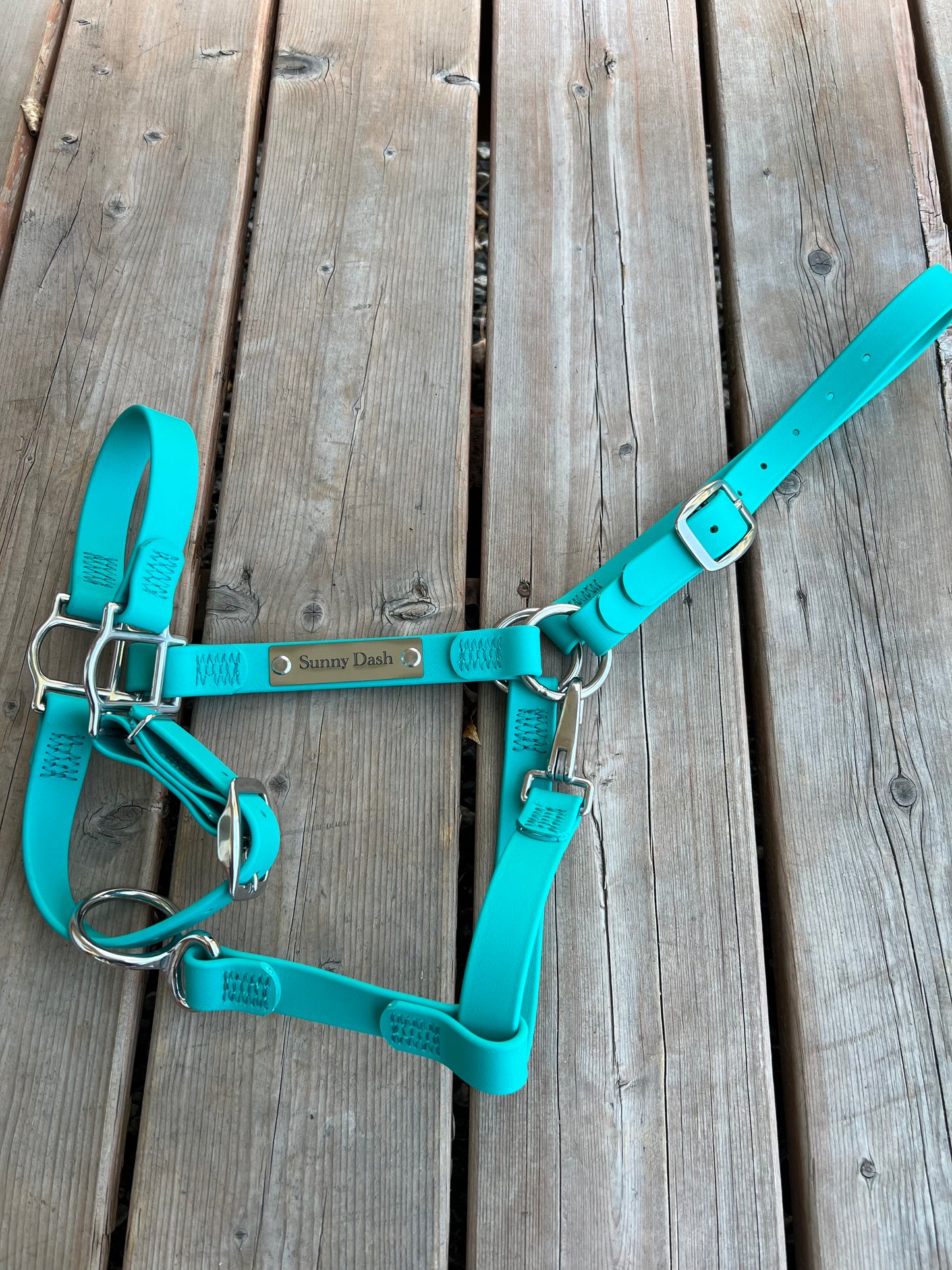 Custom Halter Set - BioThane Halter & Name Plate Bundle