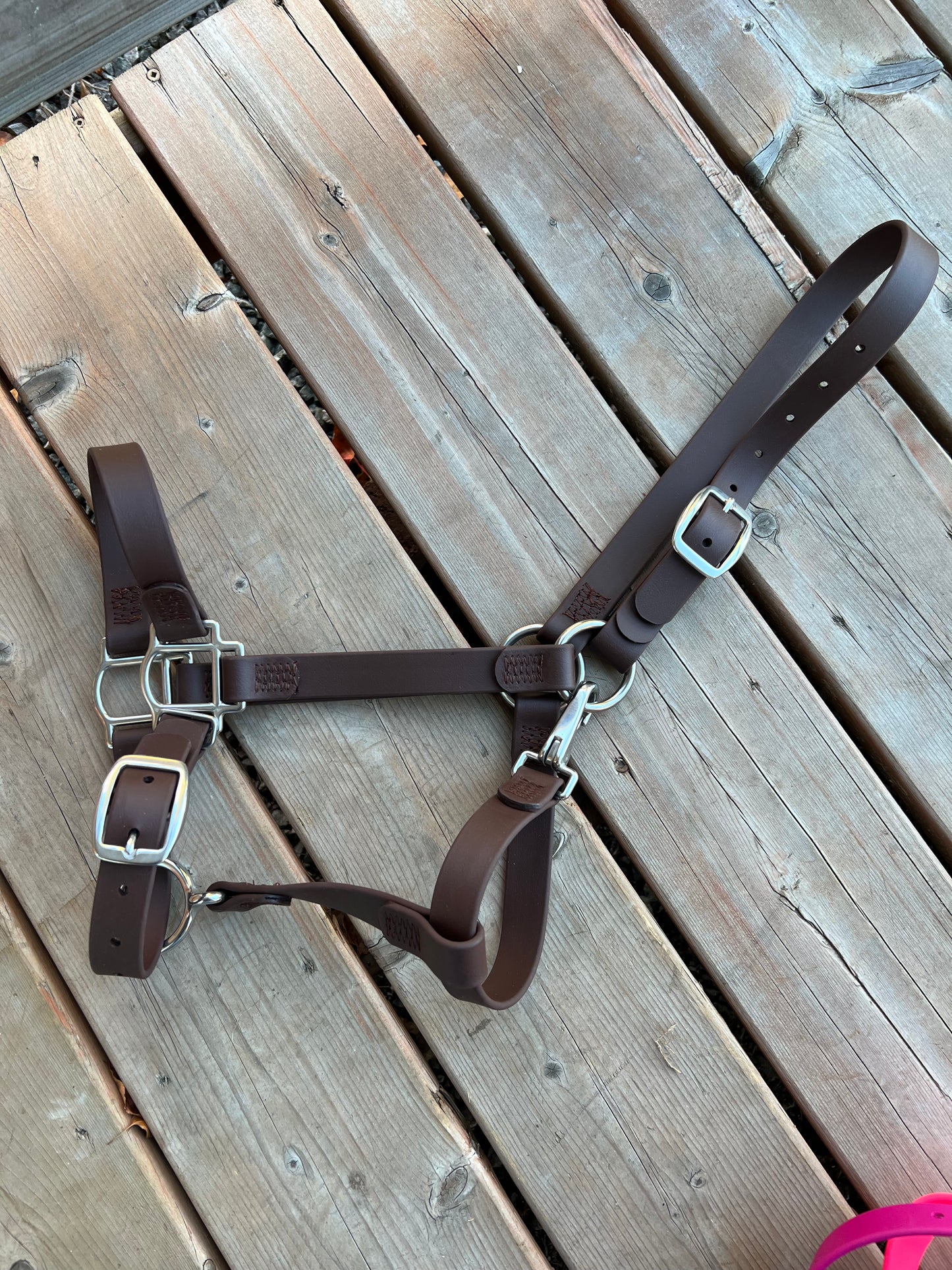 BioThane Horse Halter - IN STOCK