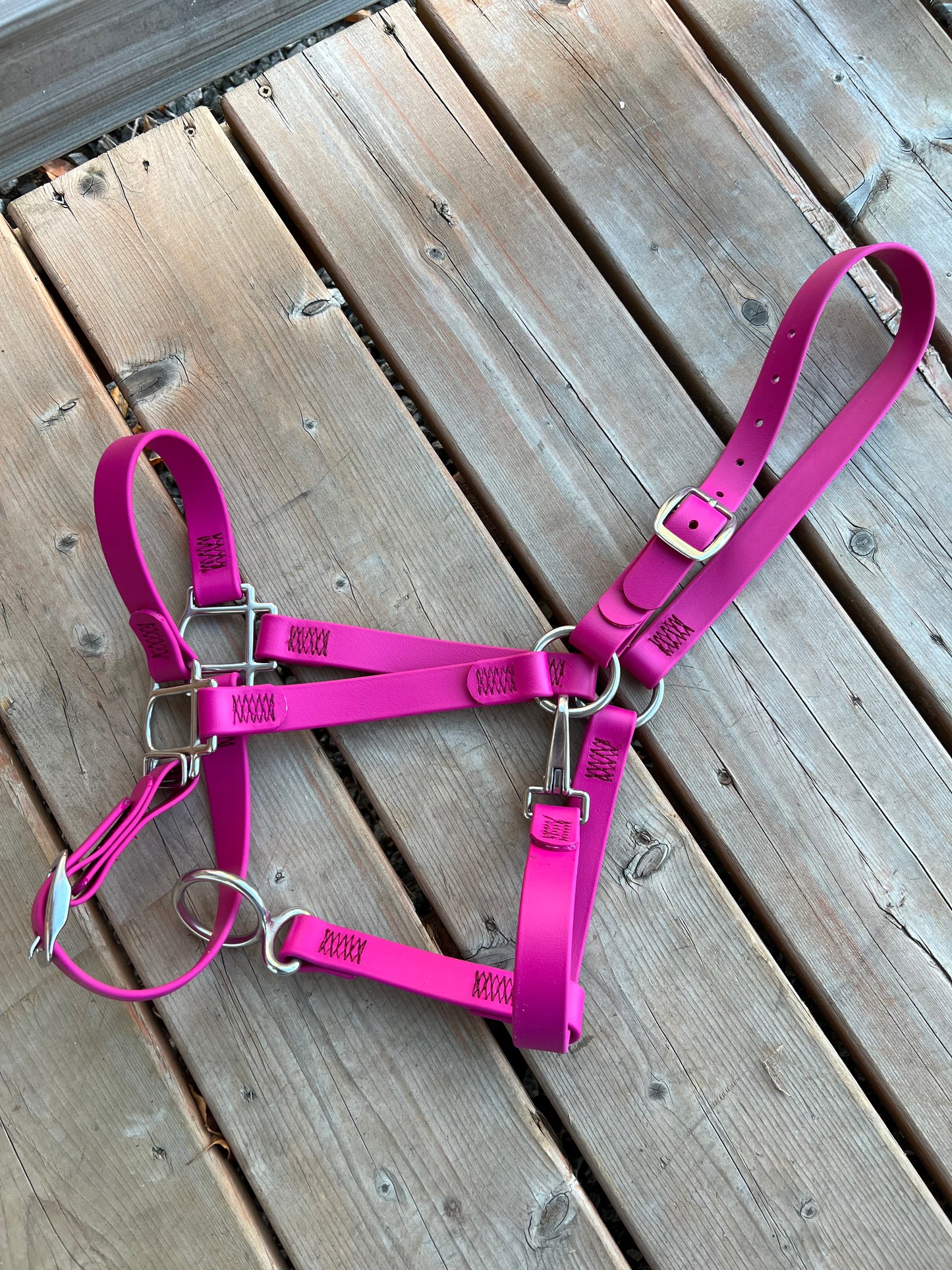 BioThane Horse Halter - IN STOCK