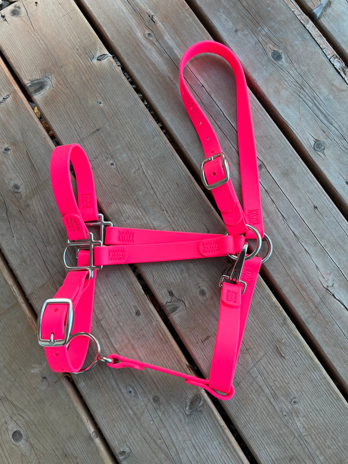 BioThane Horse Halter - IN STOCK