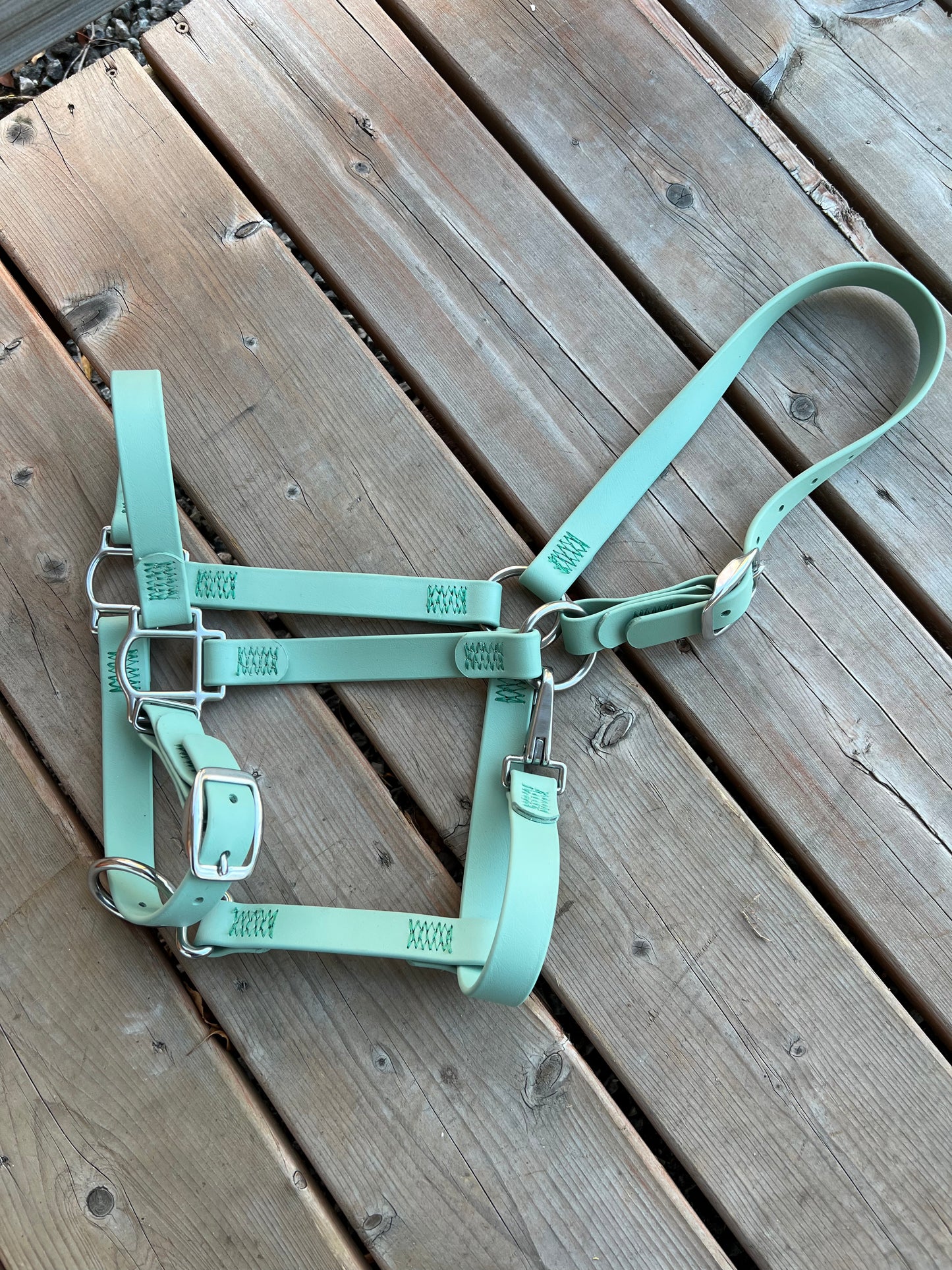 BioThane Horse Halter - IN STOCK