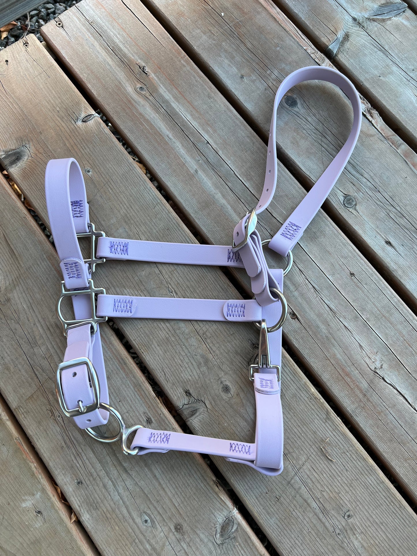 BioThane Horse Halter - IN STOCK
