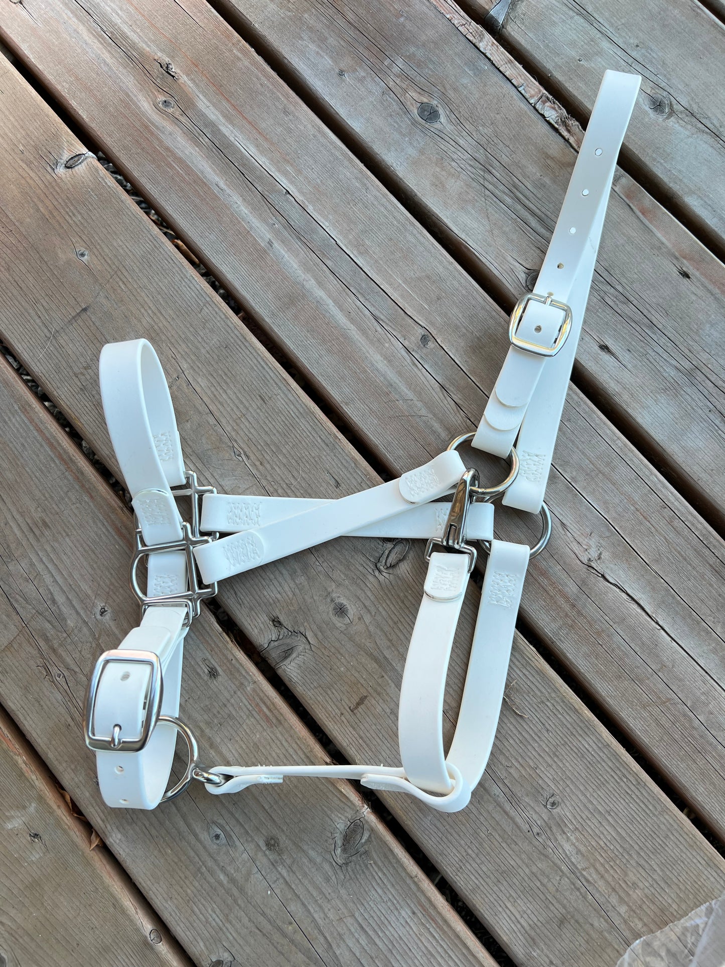 BioThane Horse Halter - IN STOCK
