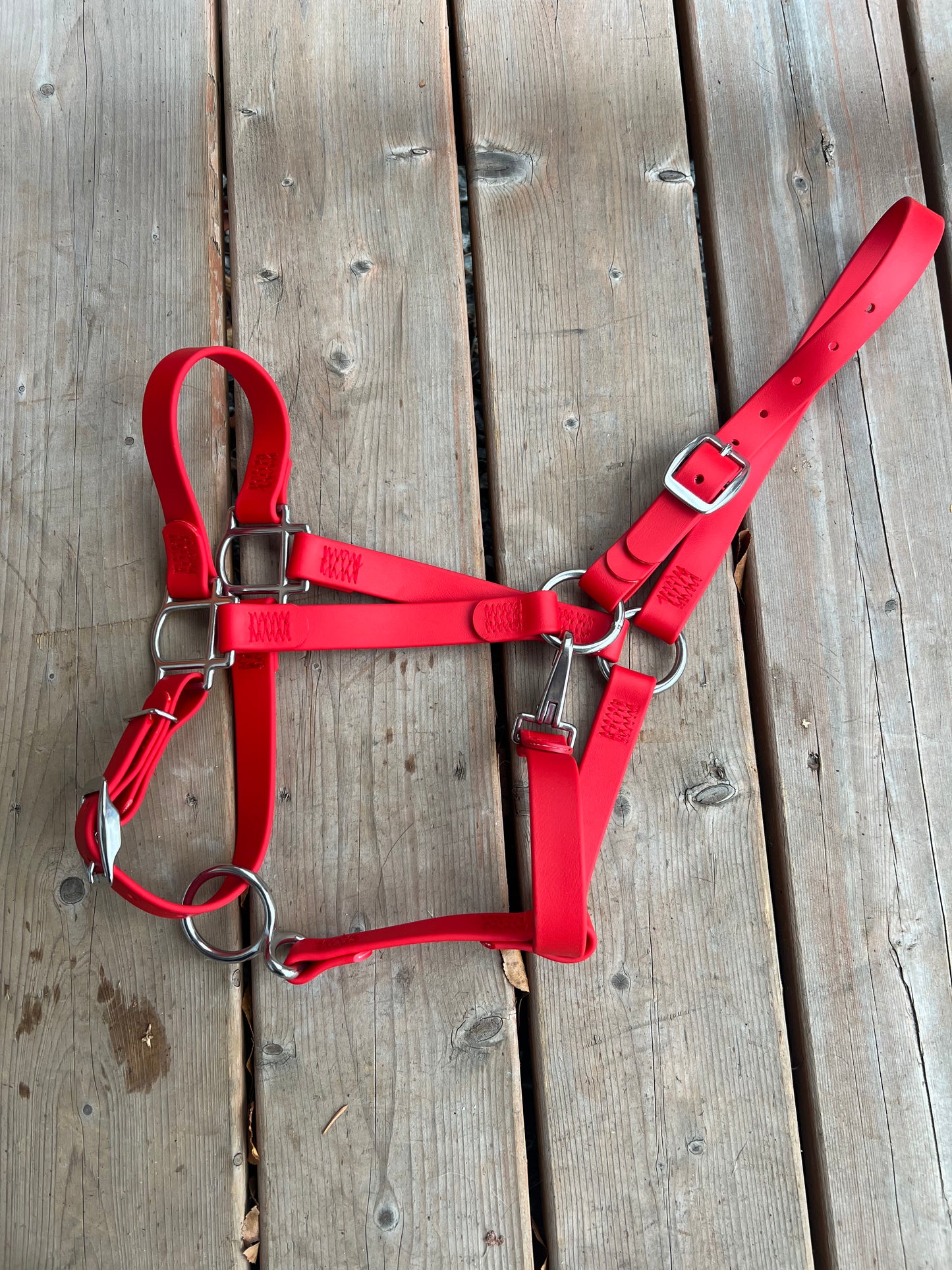 Licou pour cheval en BioThane - FABRIQUÉ SUR COMMANDE