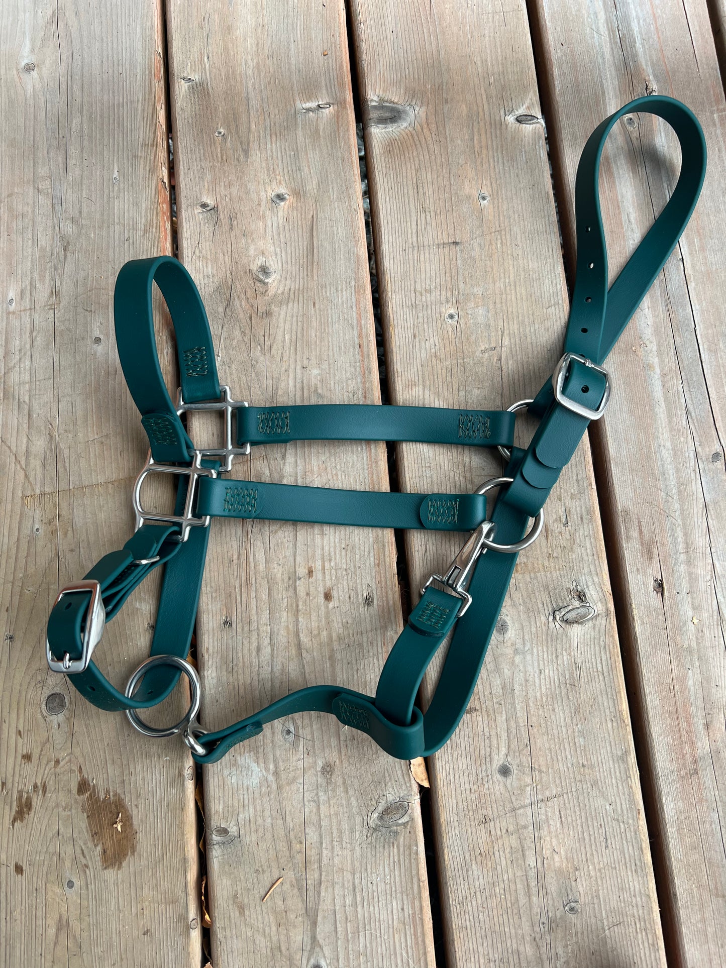 Licou pour cheval en BioThane - FABRIQUÉ SUR COMMANDE