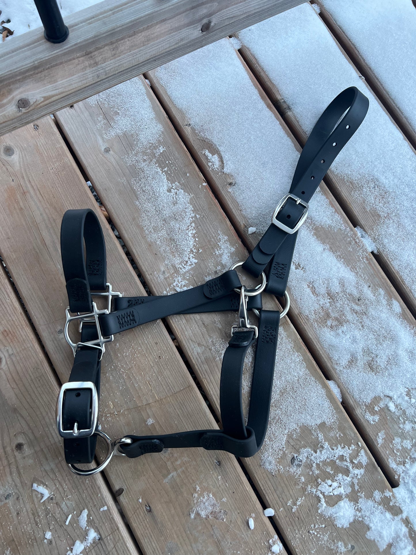 Licou pour cheval en BioThane - FABRIQUÉ SUR COMMANDE