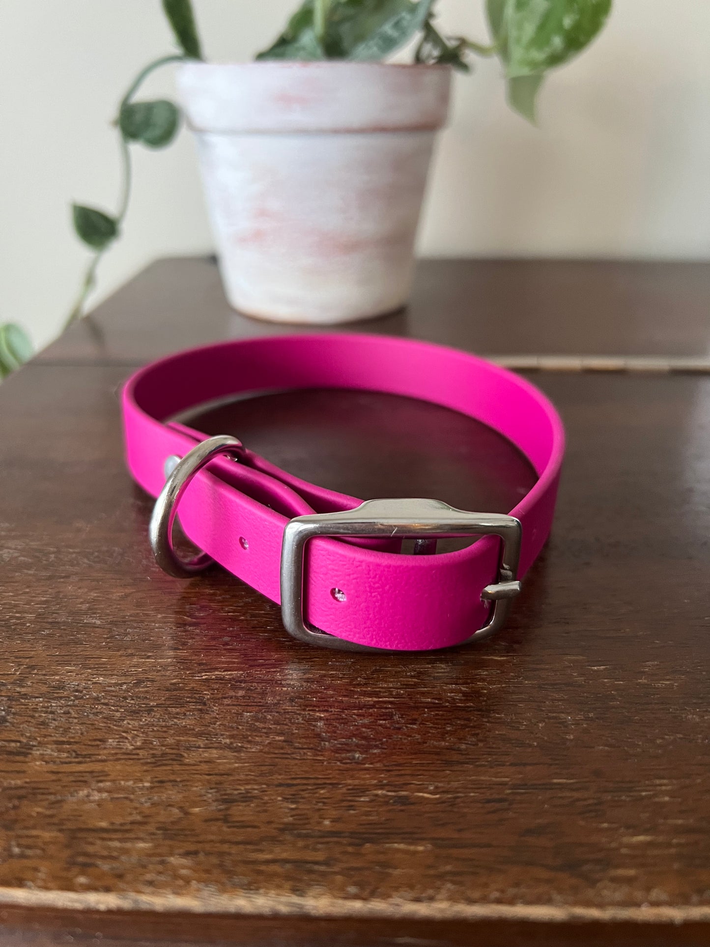 BioThane Dog Collar *Made to order*