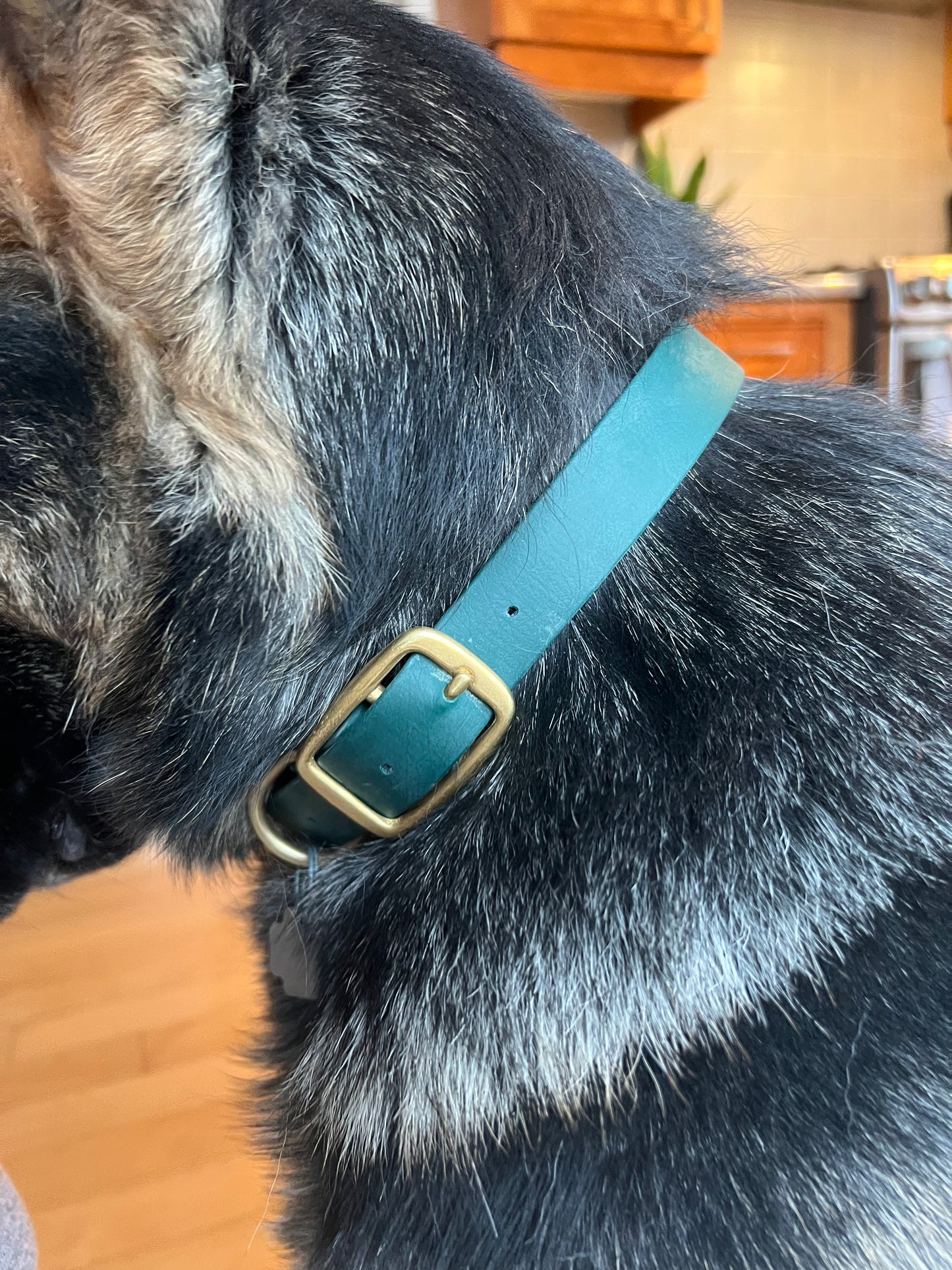 BioThane Dog Collar *Made to order*