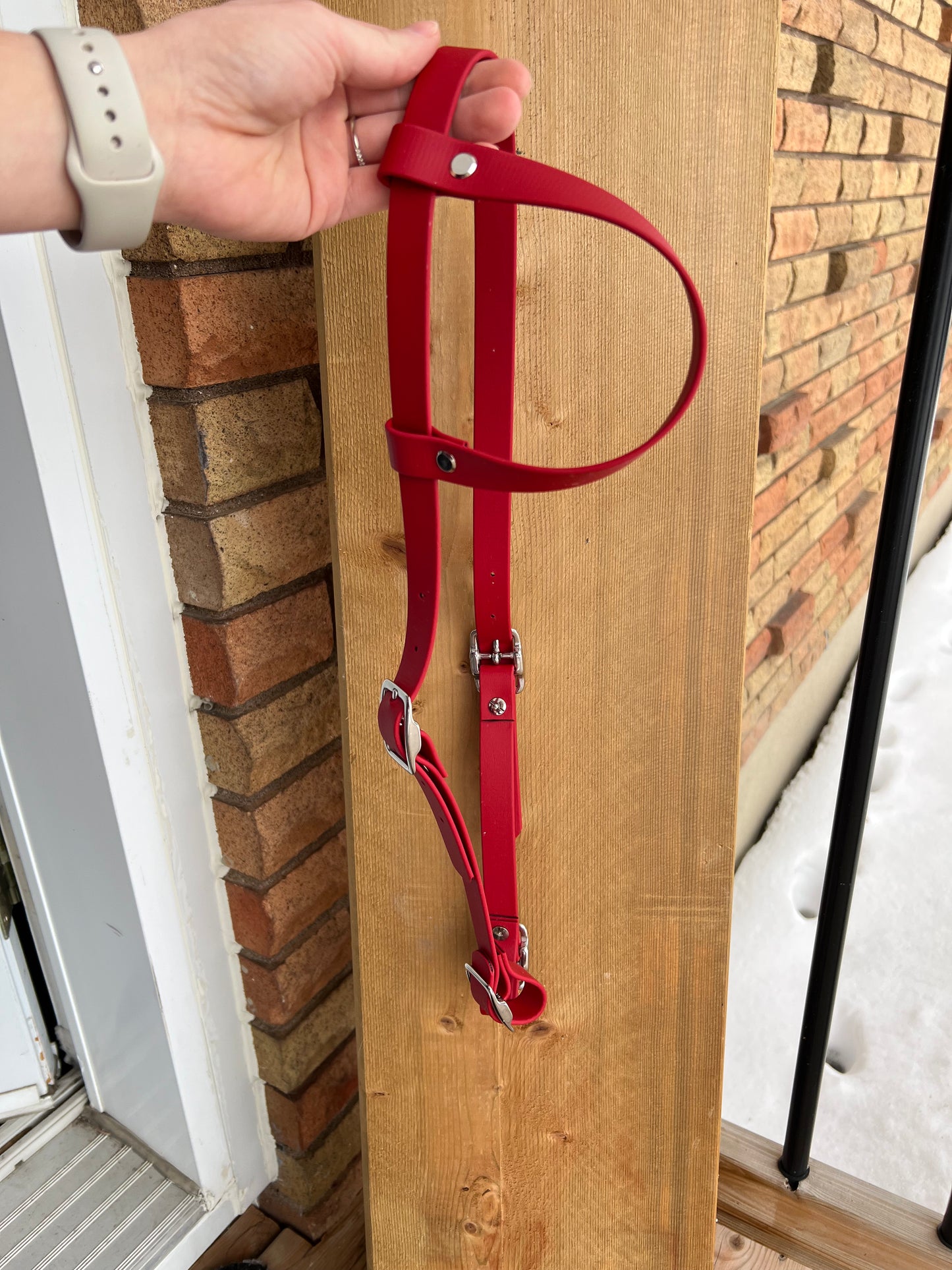 One-Ear BioThane Headstall – MaRivale Standard - IN STOCK