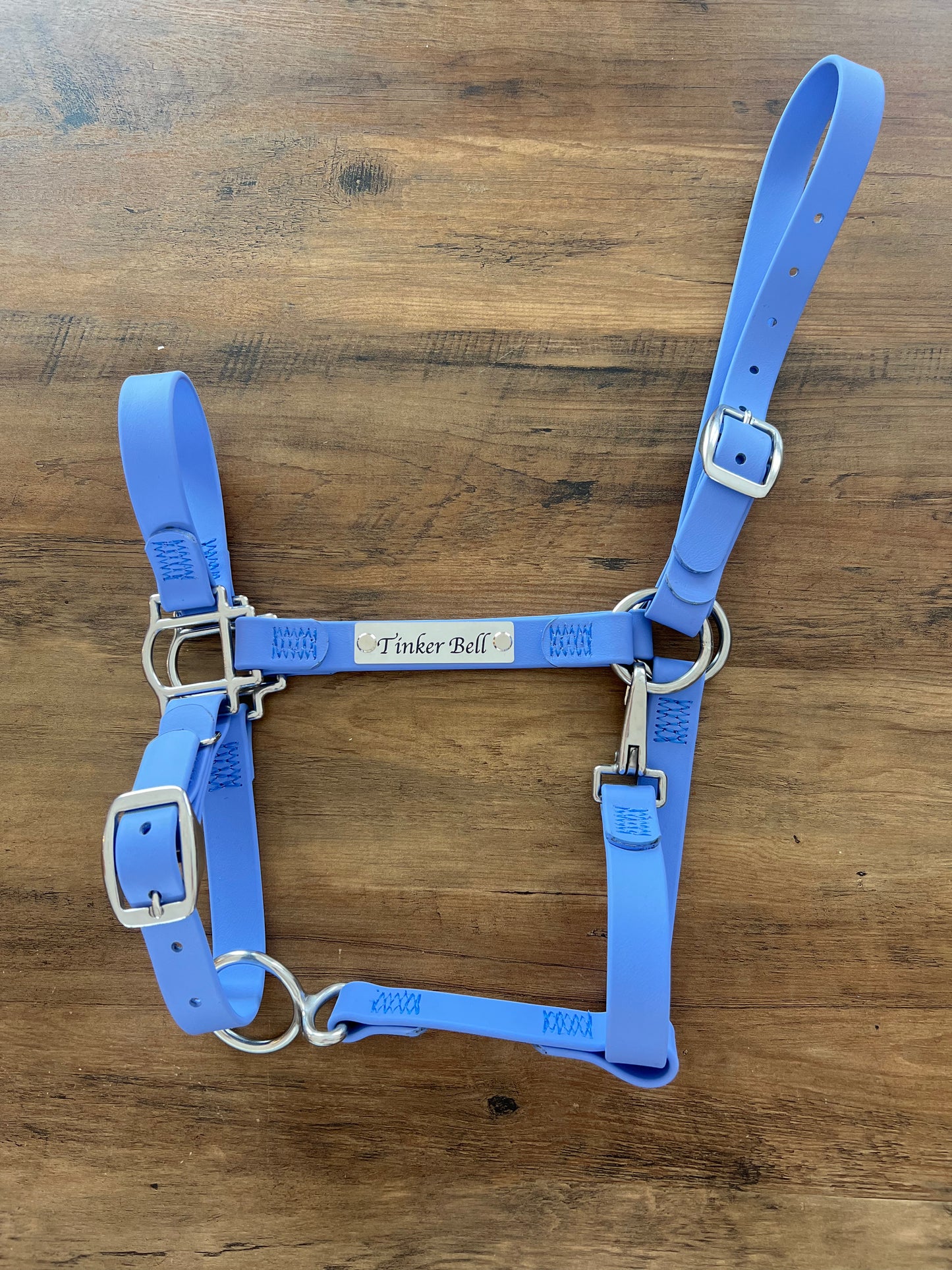 Custom Halter Set - BioThane Halter & Name Plate Bundle