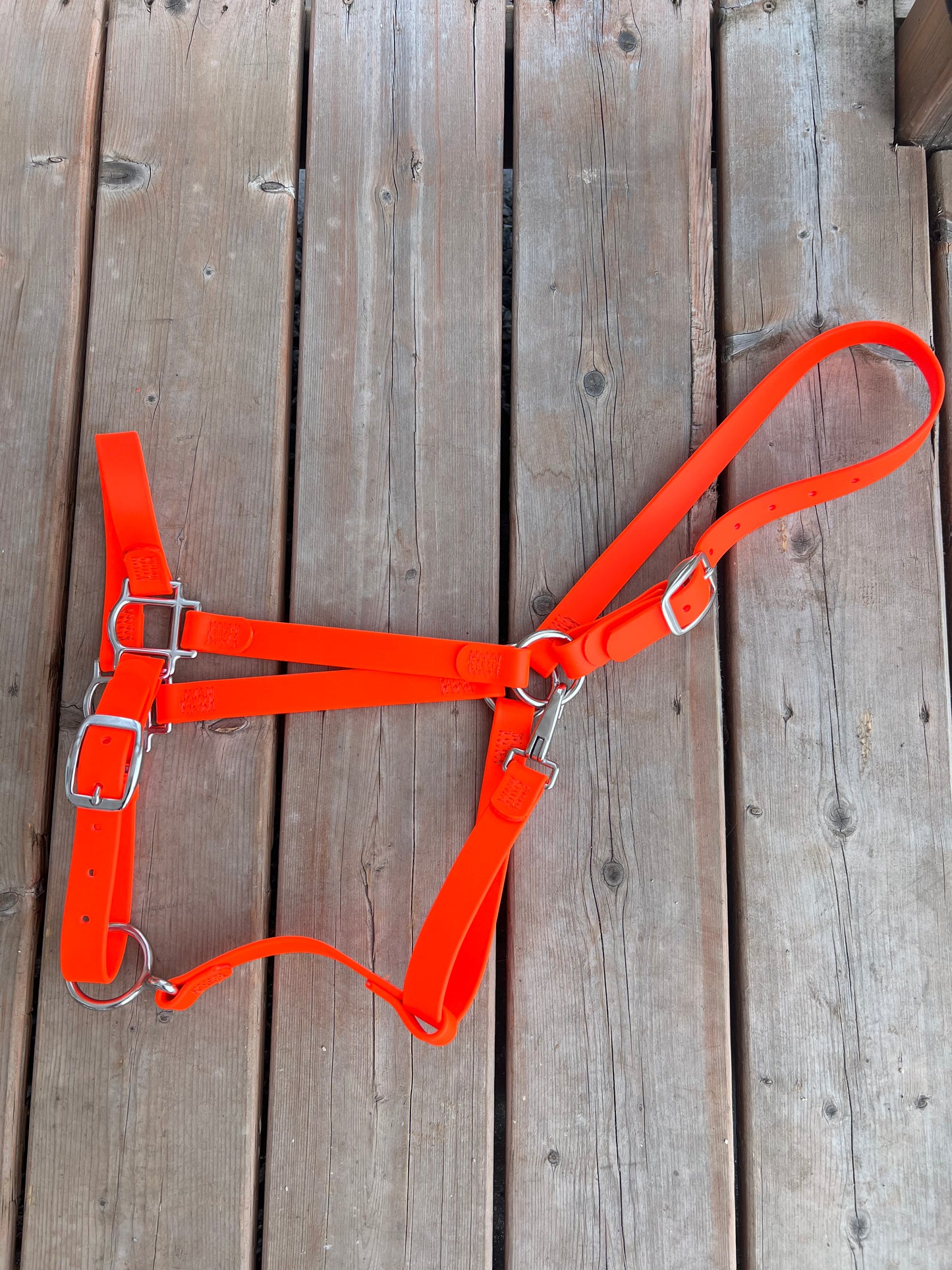 Licou pour cheval en BioThane - EN INVENTAIRE