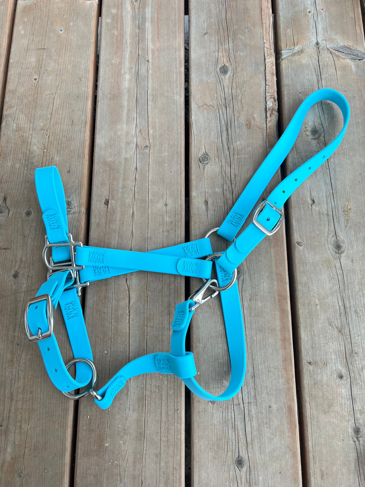 Licou pour cheval en BioThane - EN INVENTAIRE