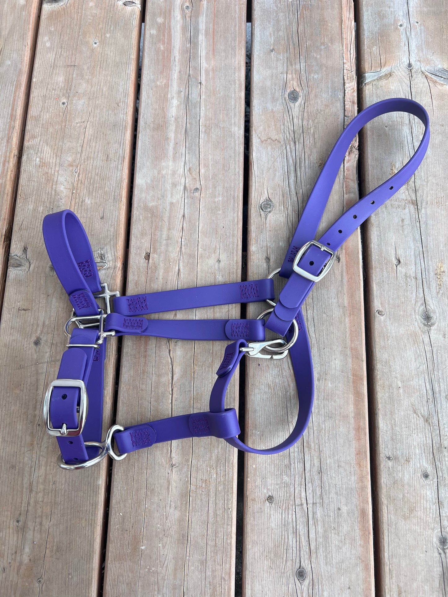 Licou pour cheval en BioThane - EN INVENTAIRE