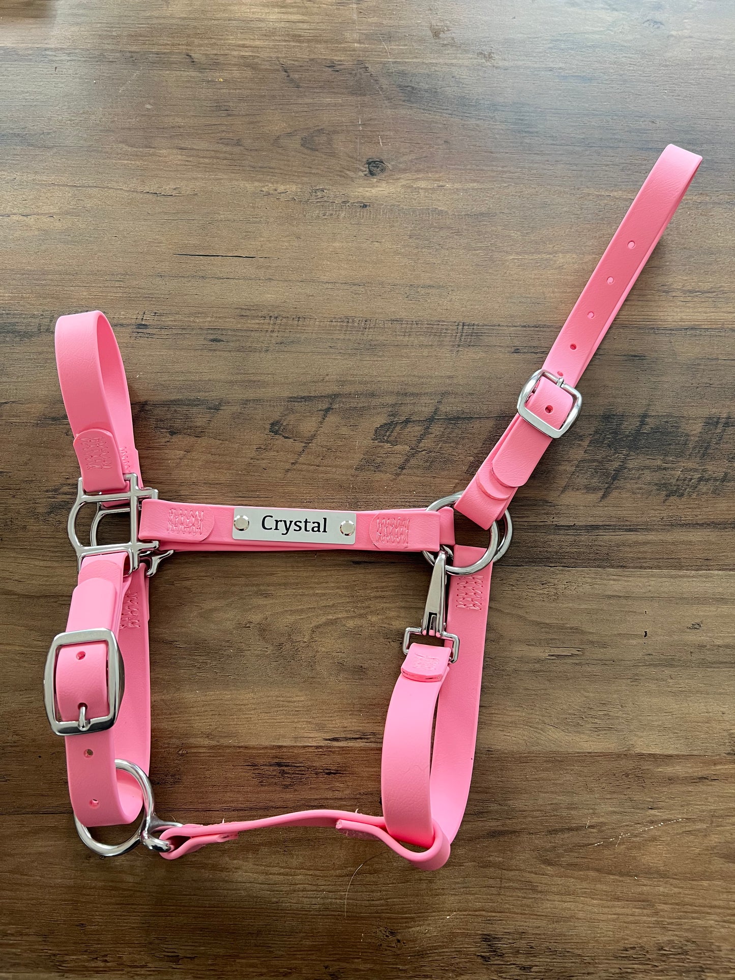 Custom Halter Set - BioThane Halter & Name Plate Bundle