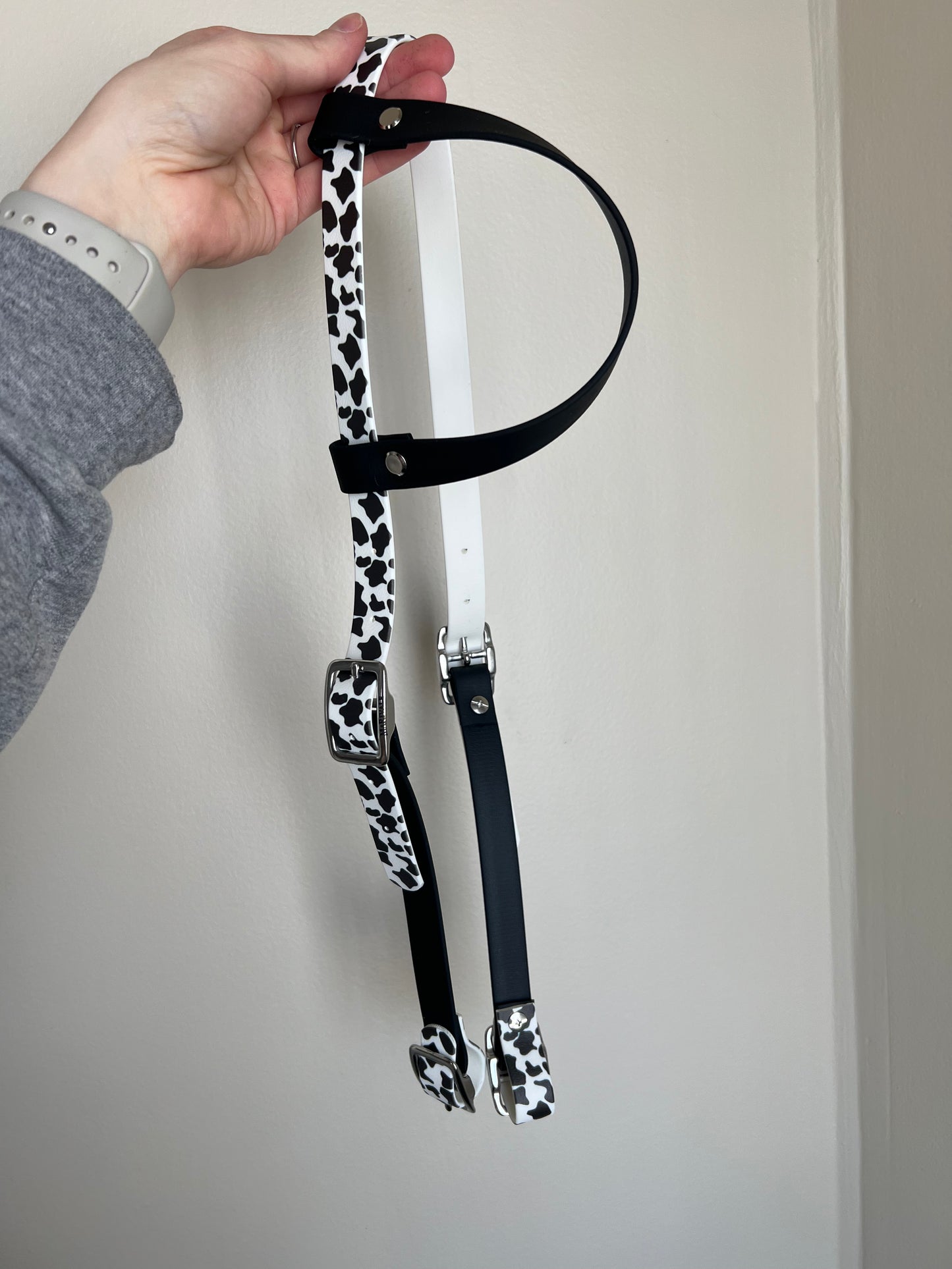 One-Ear Printed Biothane Headstall – MaRivale Standard - IN STOCK