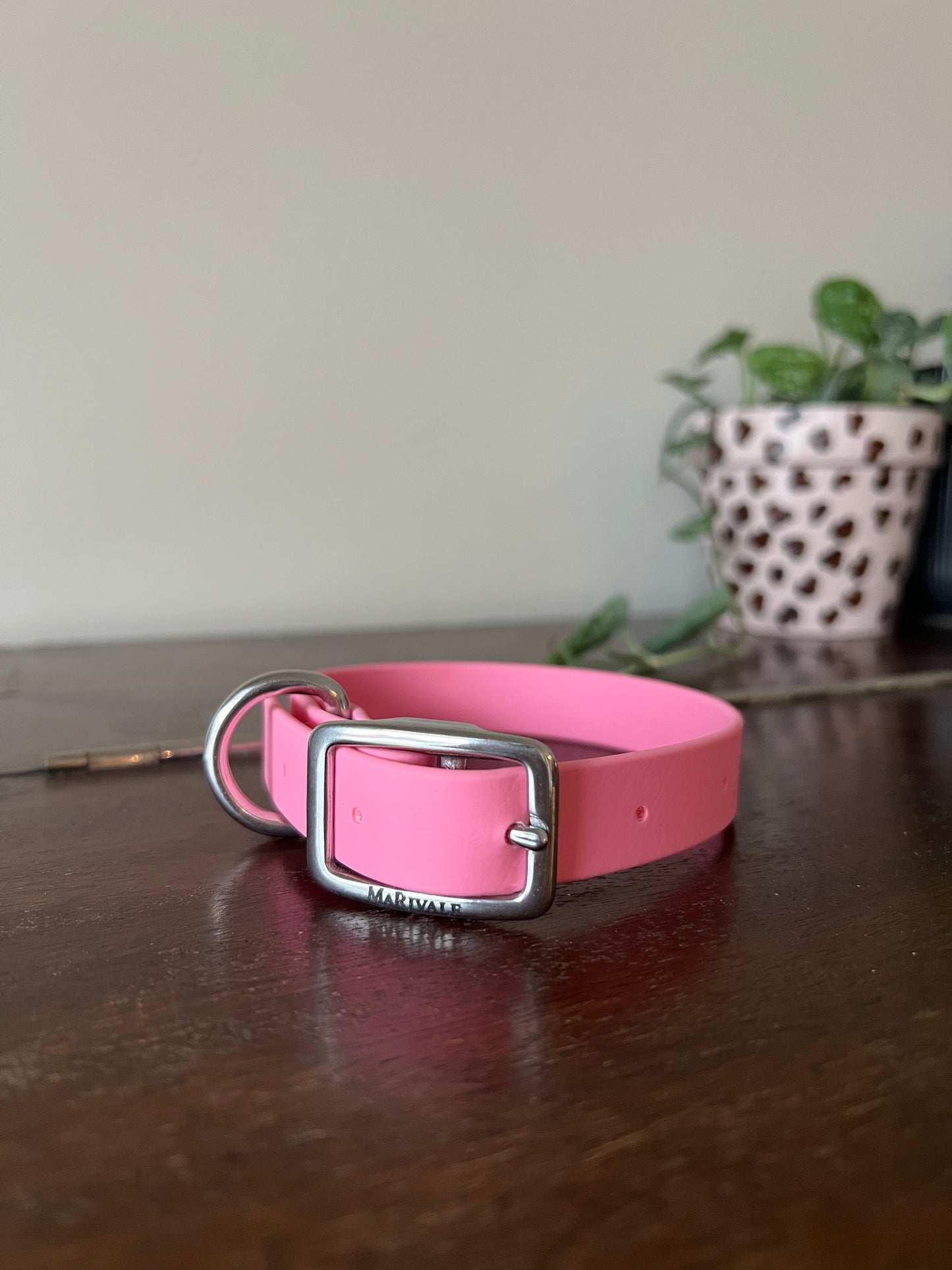 Collier pour chien BioThane - EN INVENTAIRE