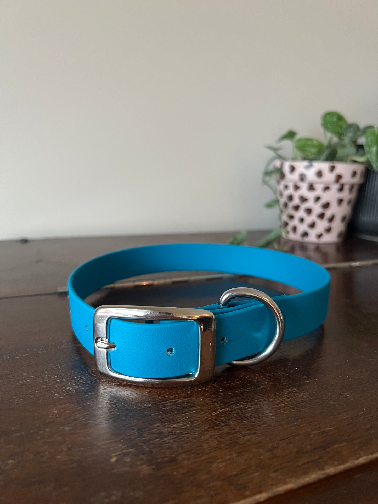 Collier pour chien BioThane - EN INVENTAIRE