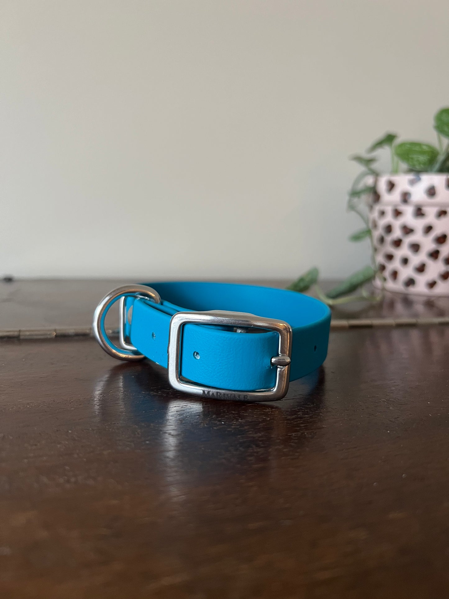 Collier pour chien BioThane - EN INVENTAIRE