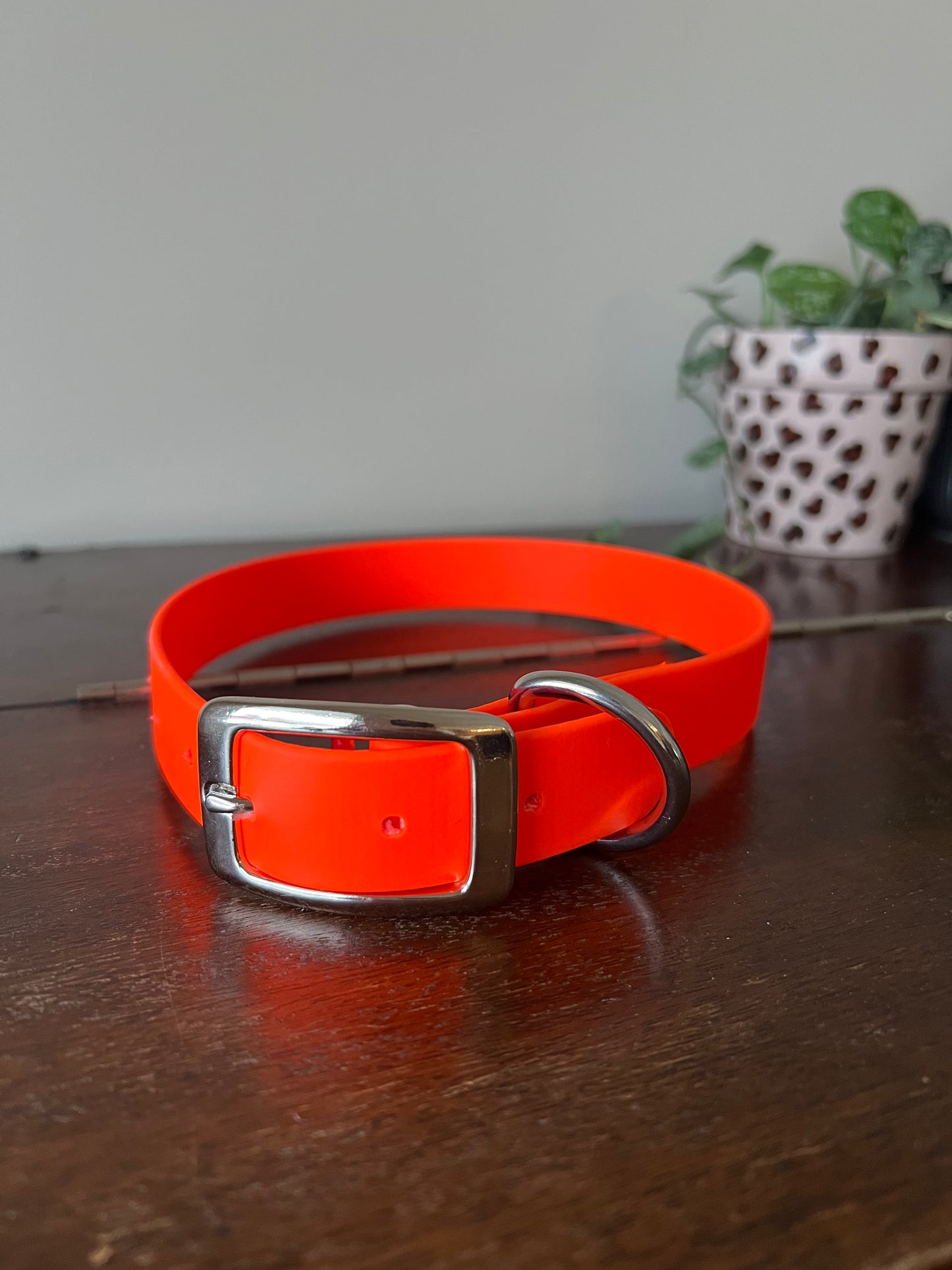 Collier pour chien BioThane - EN INVENTAIRE