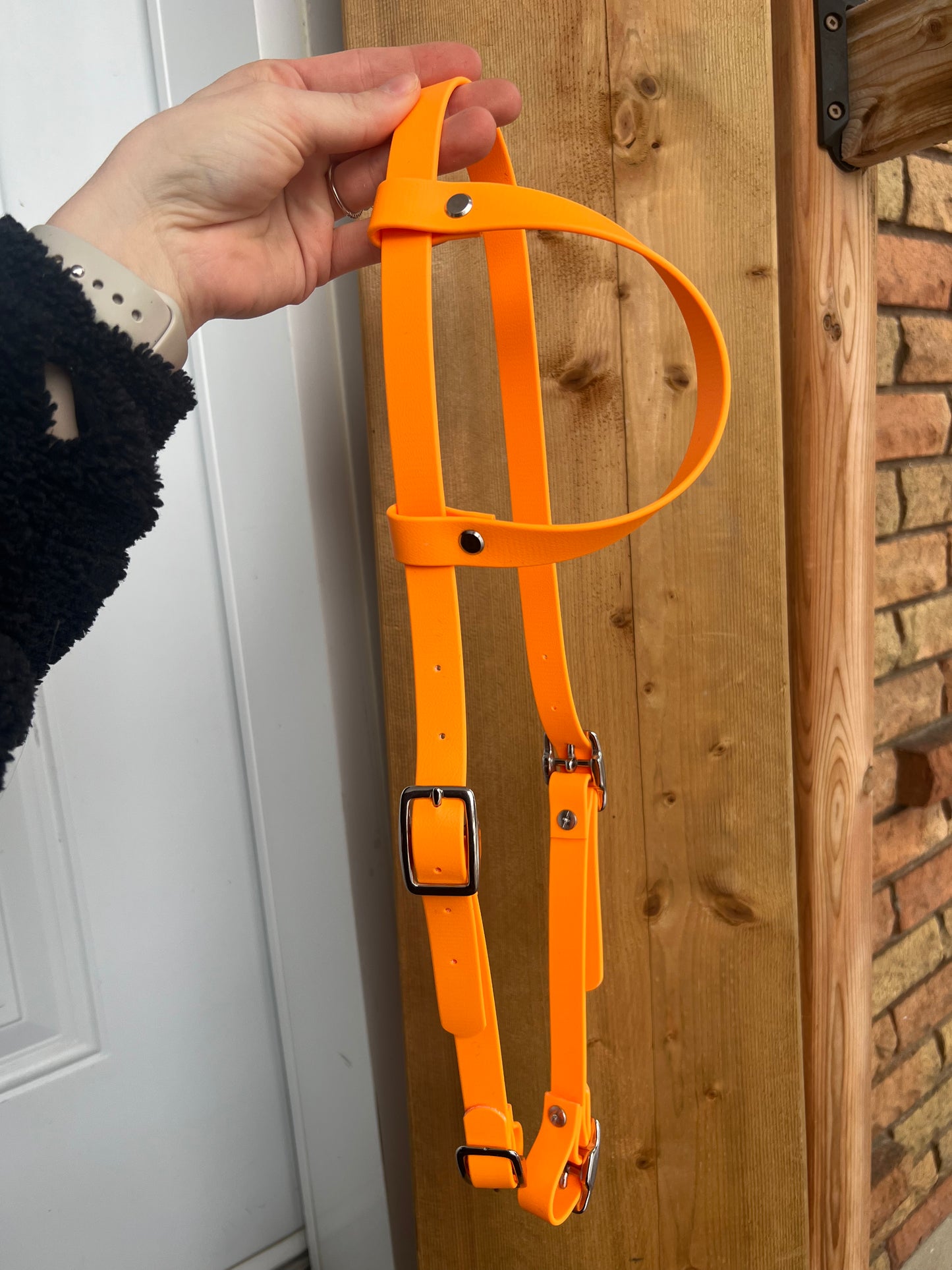 One-Ear BioThane Headstall – MaRivale Standard - IN STOCK