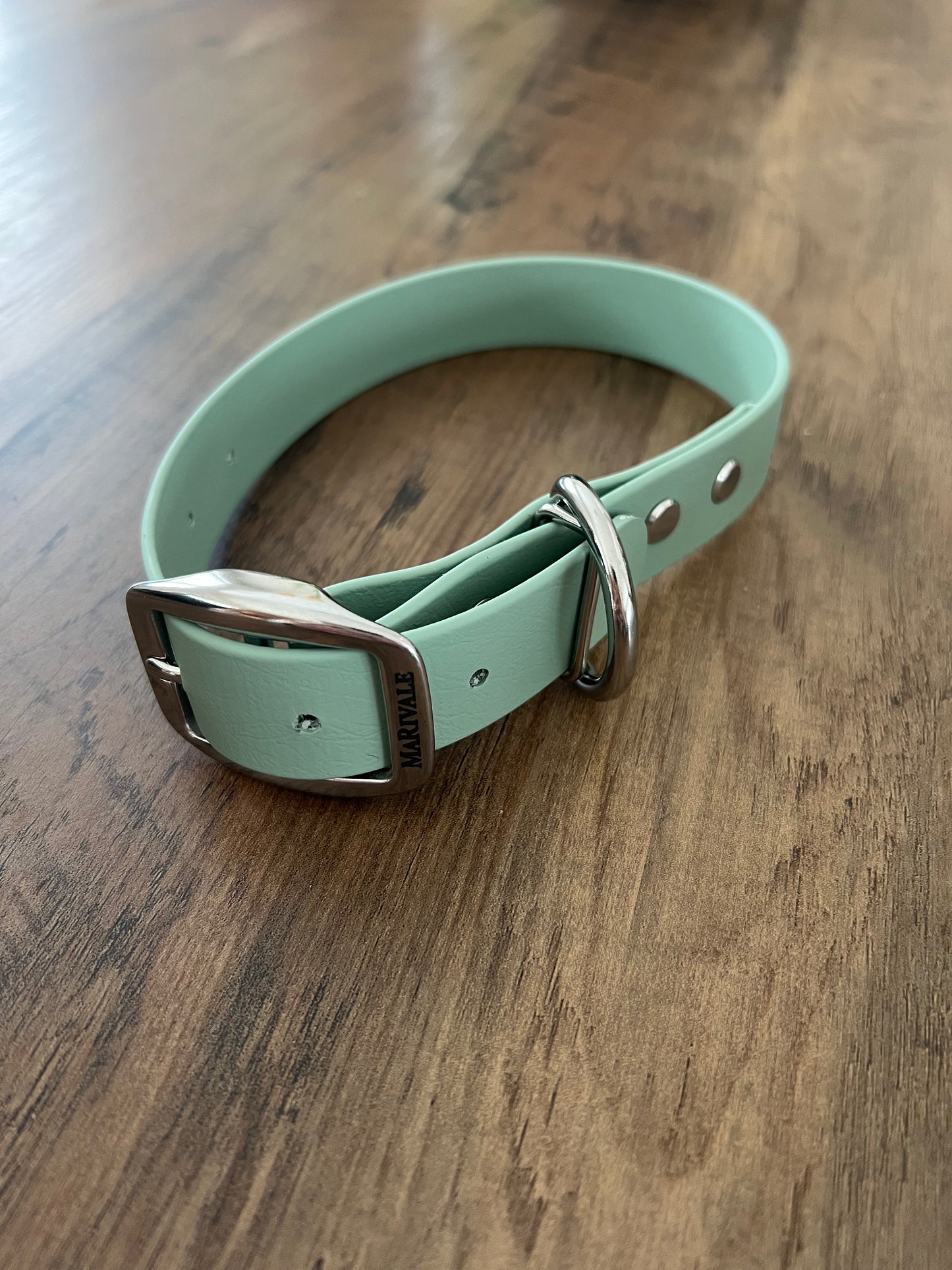 Collier pour chien BioThane - EN INVENTAIRE