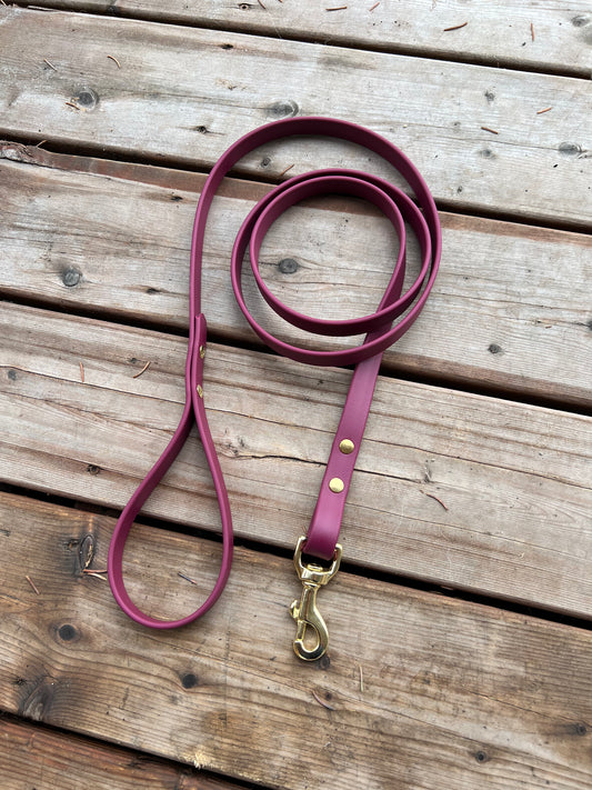 BioThane Dog Leash *Made to order*