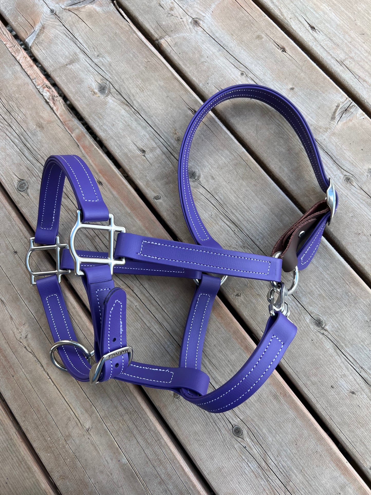 BioThane Breakaway Halter - MaRivale Signature *Made to order*