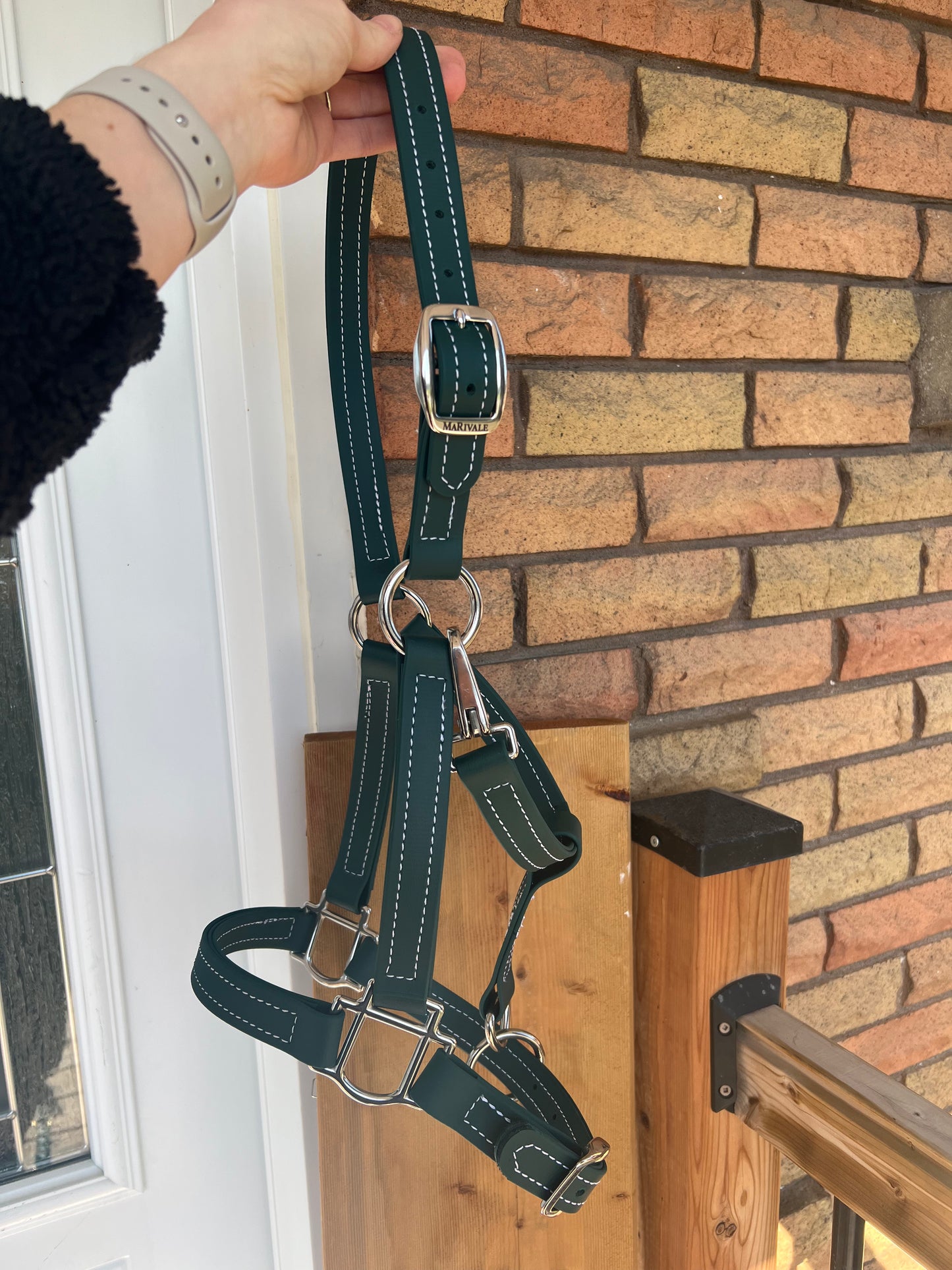BioThane Halter - MaRivale Signature *Made to order*
