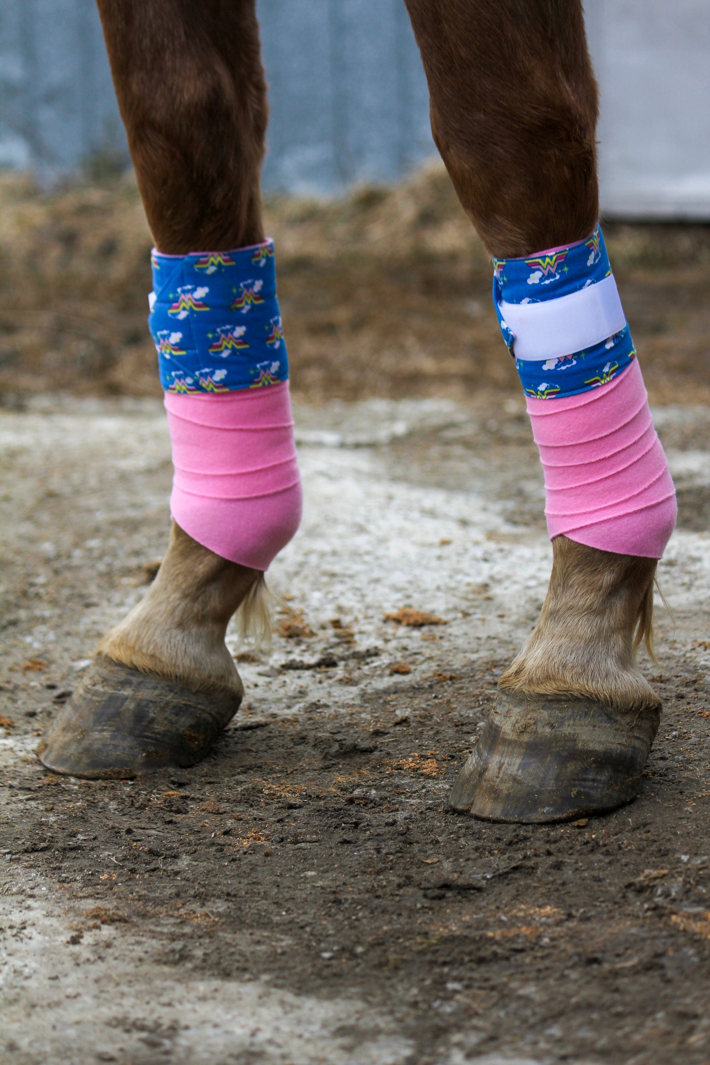 Set of 4 Horse Polo Wraps - Pink with Wonder Woman