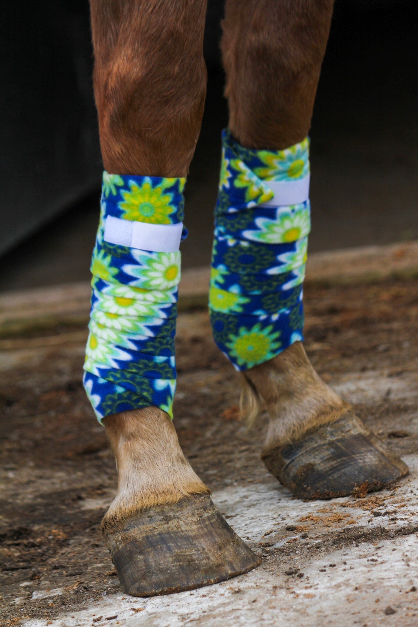 Set of 4 Horse Polo Wraps - Blue with Green Flowers