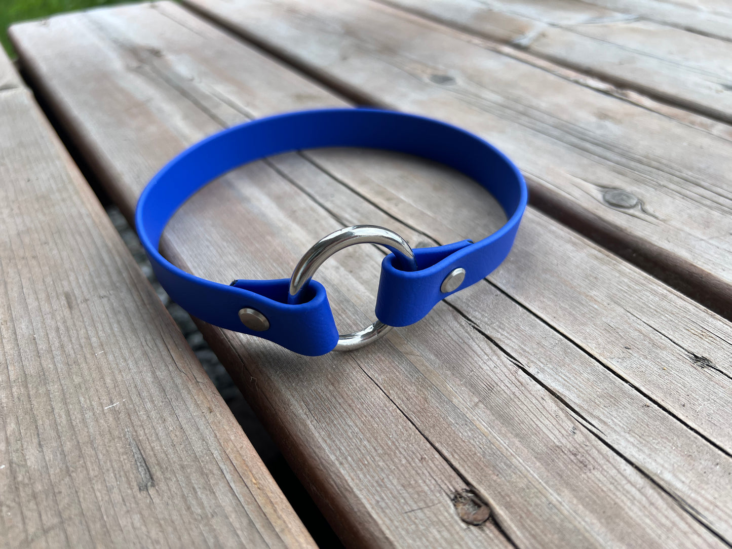 ID Tag Dog Collar
