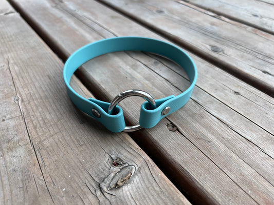 Collier porte-médaille pour chien