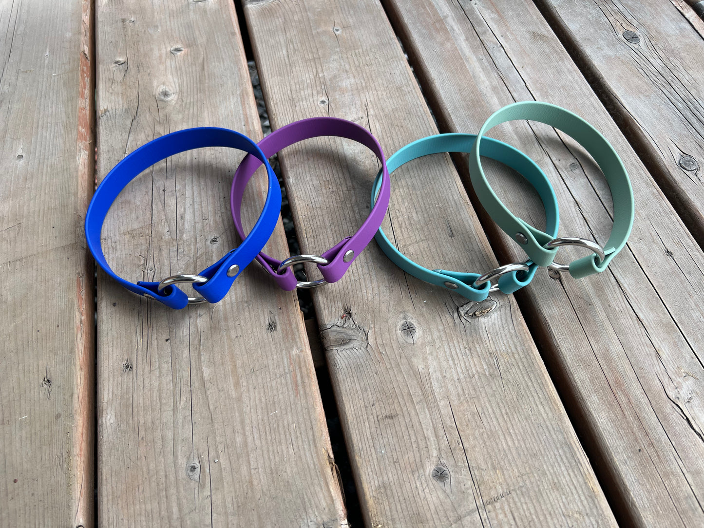 ID Tag Dog Collar