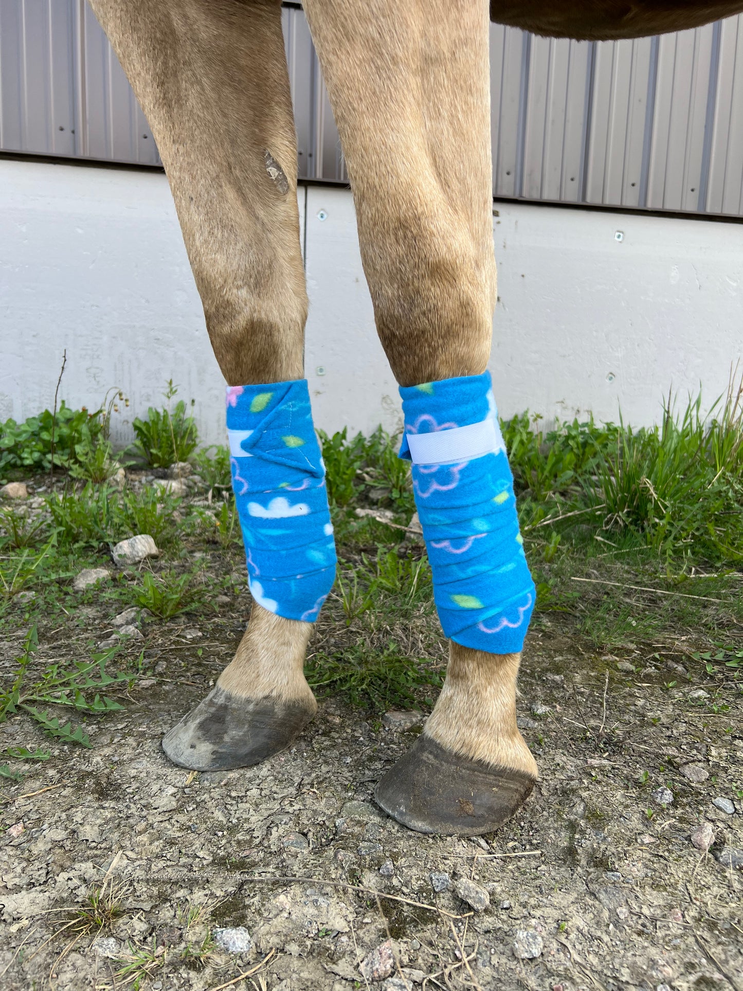 Set of 2 Horse Polo Wraps - Blue Flowers