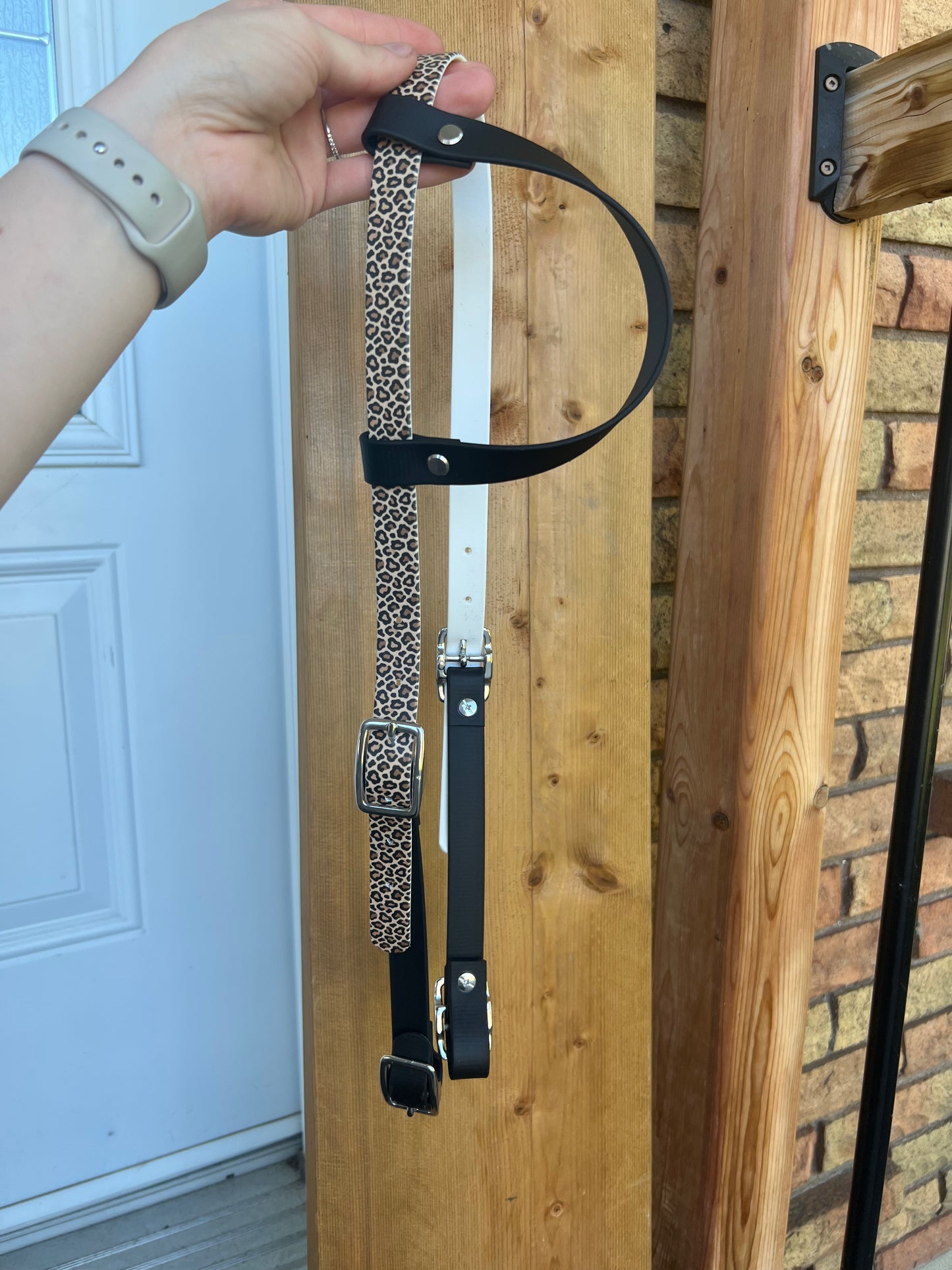 One-Ear Printed Biothane Headstall – MaRivale Standard - IN STOCK