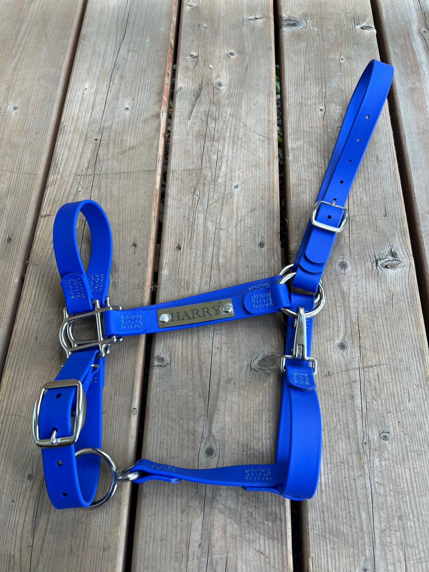 Custom Halter Set - BioThane Halter & Name Plate Bundle