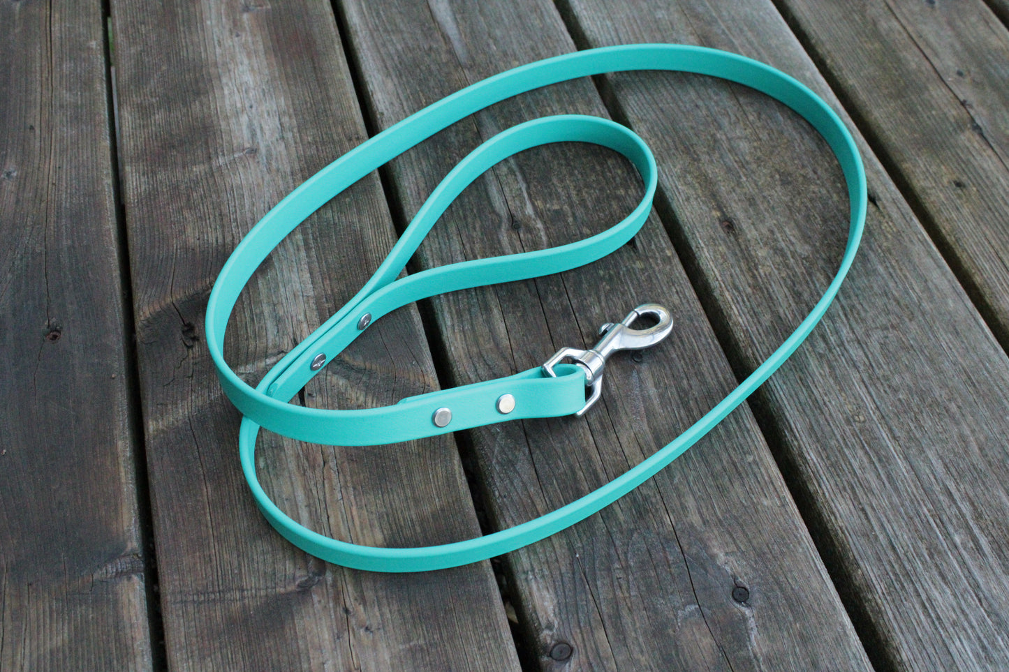Laisse pour chien BioThane *Fabriquée sur commande*
