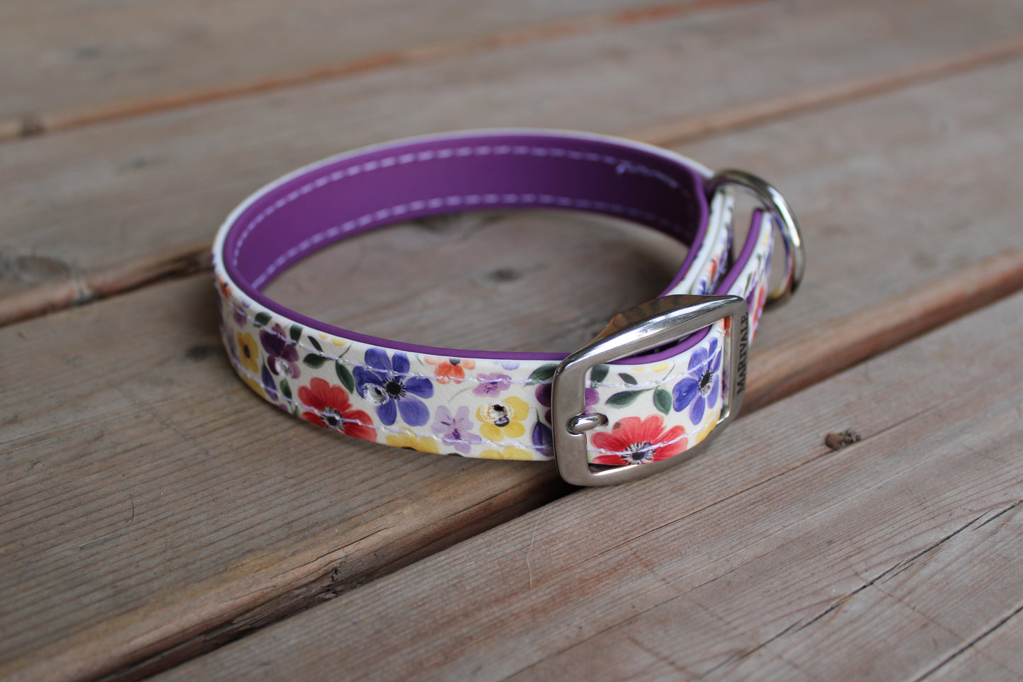 BioThane Dog Collar - IN STOCK