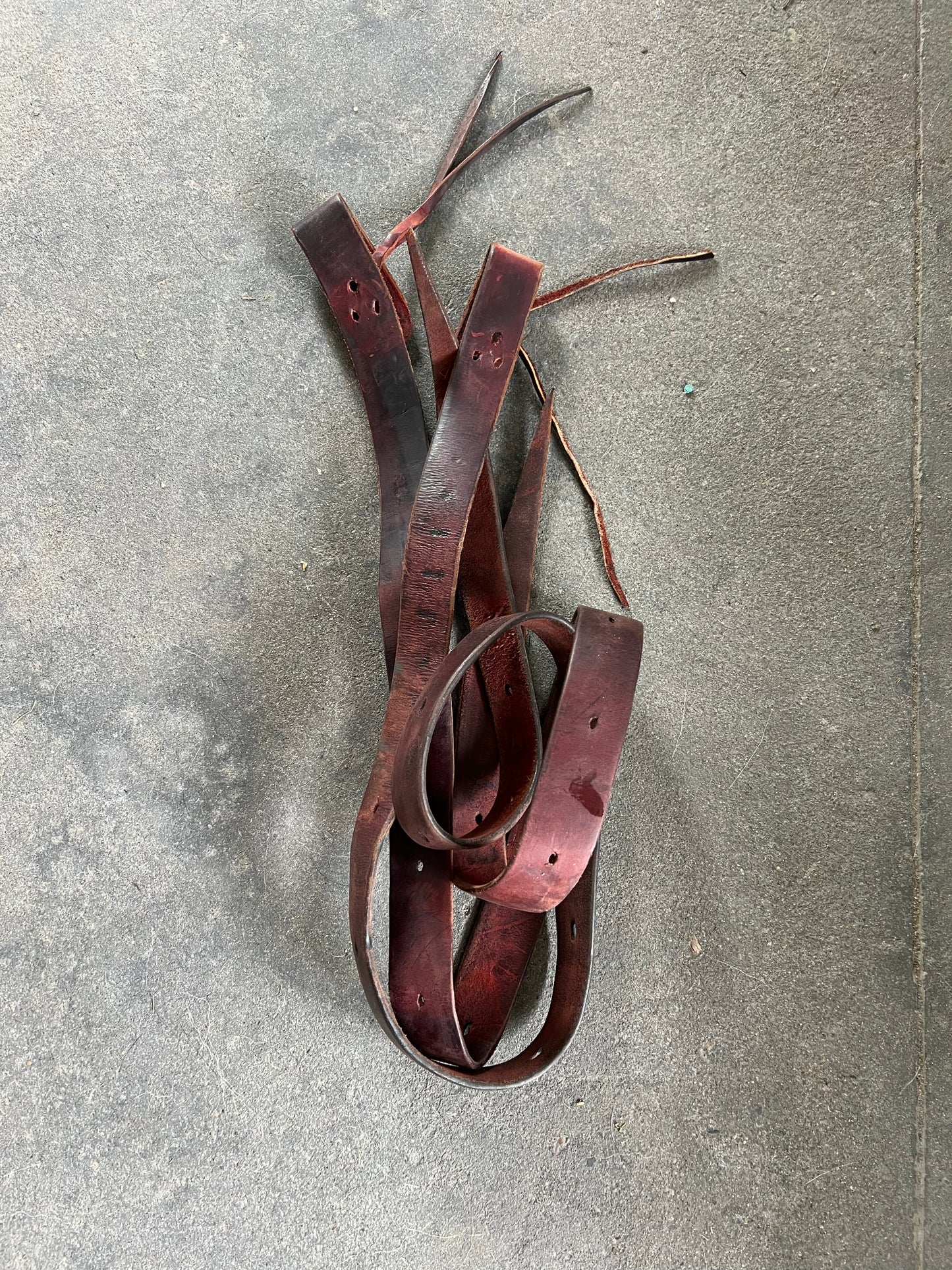 Used Leather Girth Straps Double J