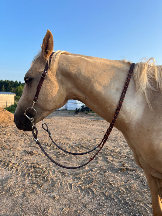 Ajustable Braided Reins Biothane Super Heavy 8 ft - IN STOCK