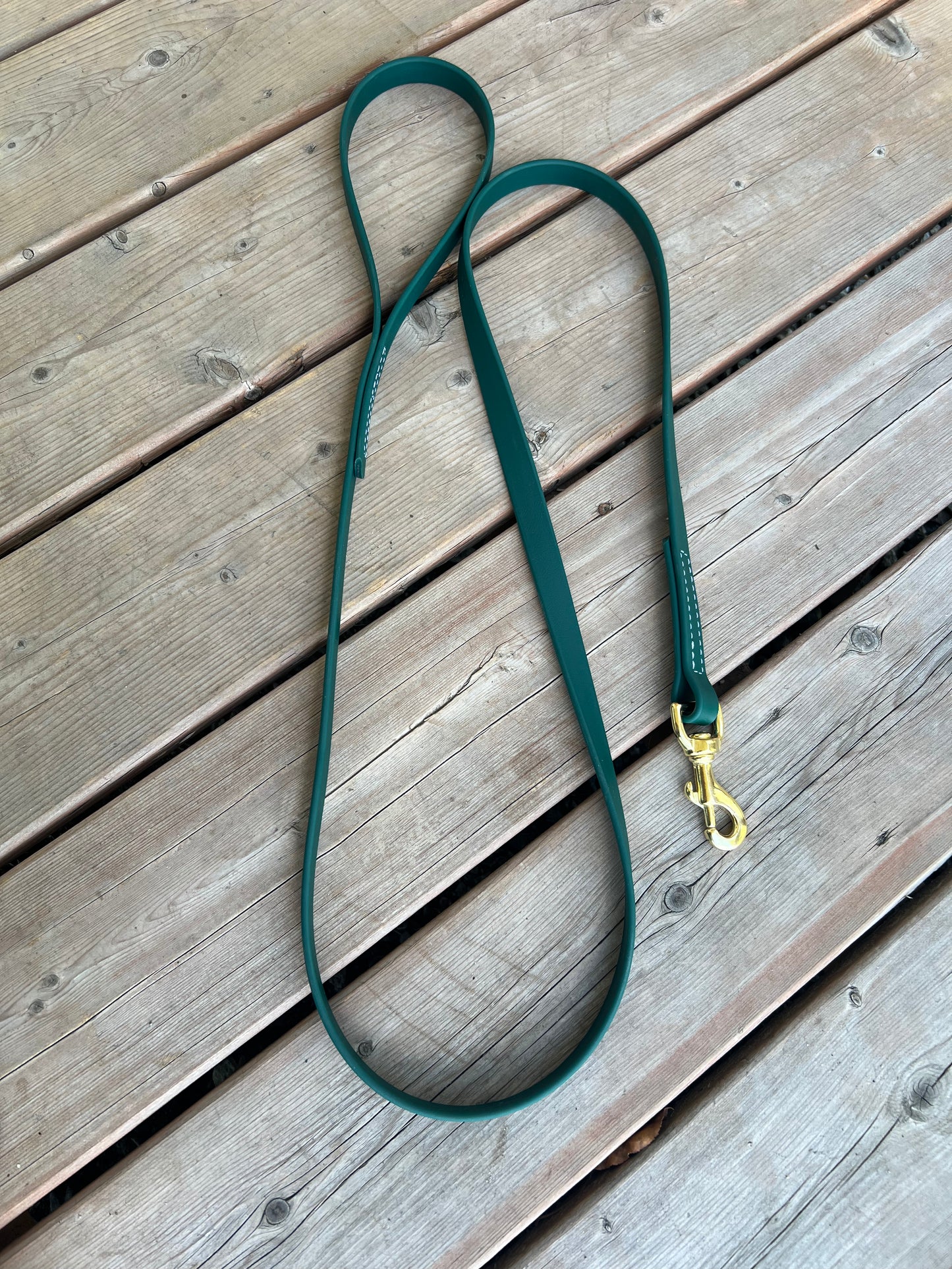 BioThane Dog Leash *Made to order*